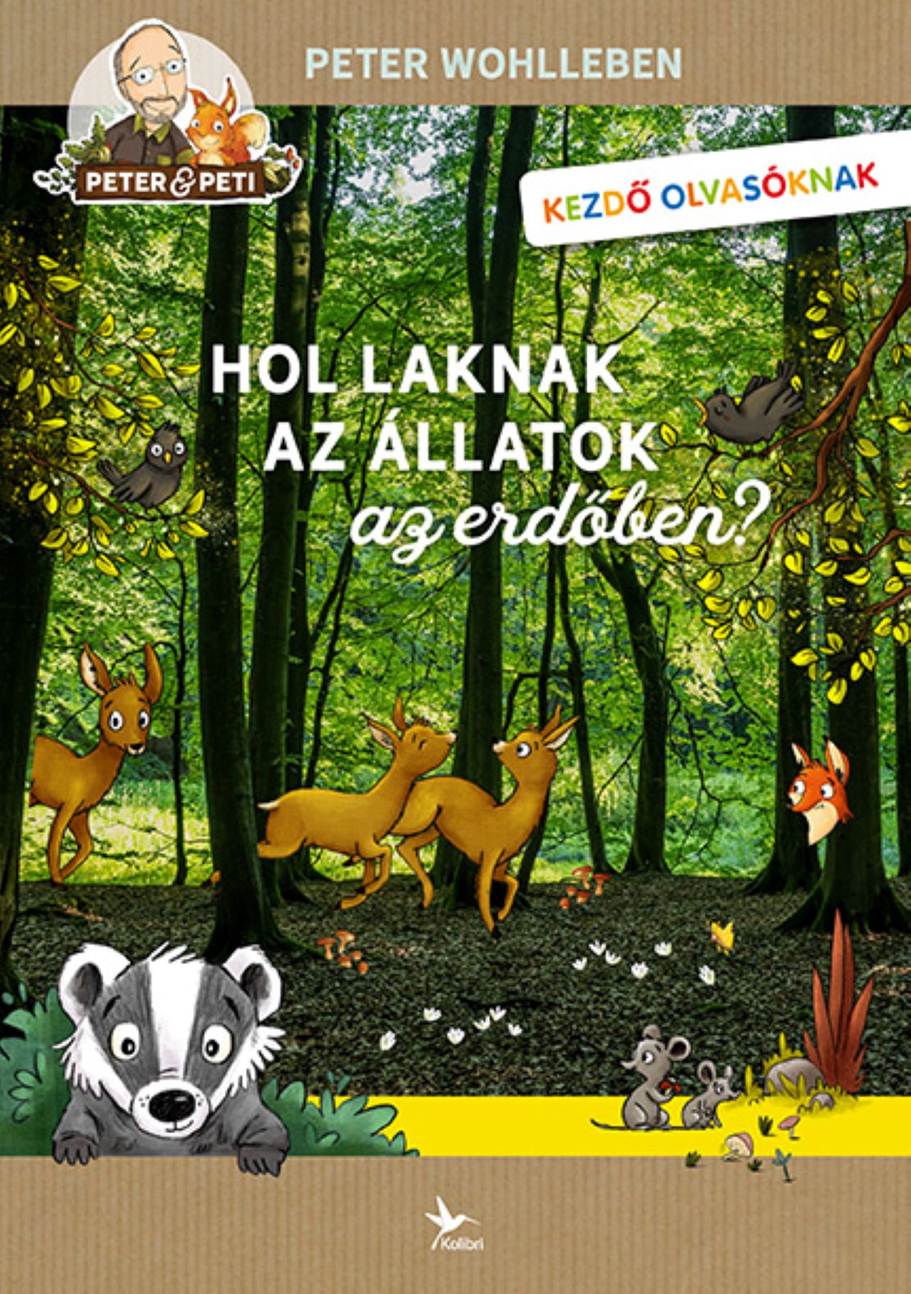HOL LAKNAK AZ ÁLLATOK AZ ERDŐBEN?