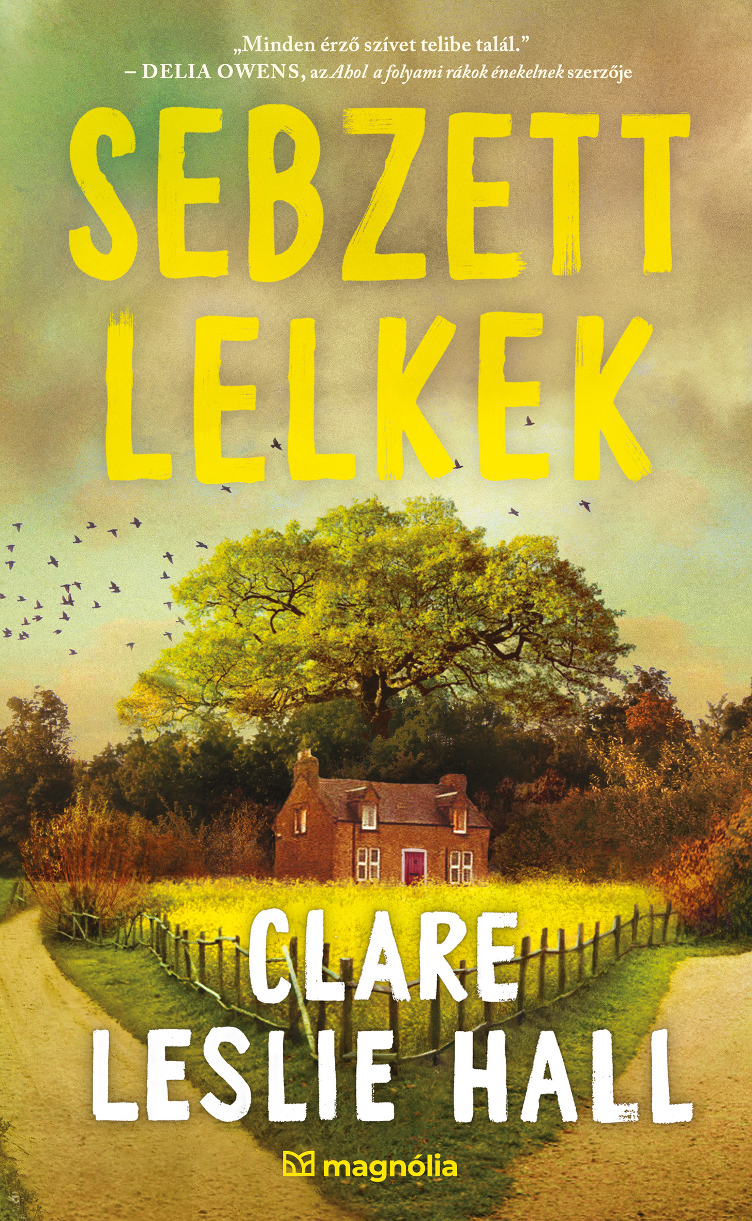 SEBZETT LELKEK