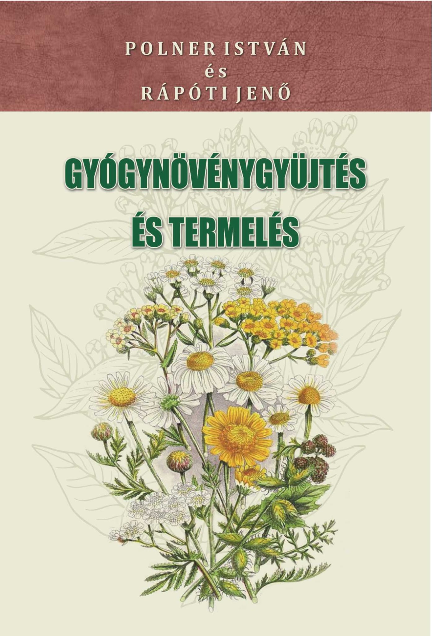 GYÓGYNÖVÉNYGYŰJTÉS ÉS TERMELÉS