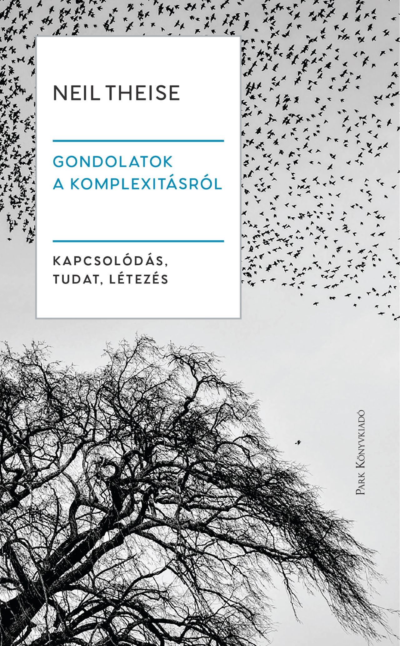 GONDOLATOK A KOMPLEXITÁSRÓL - KAPCSOLÓDÁS, TUDAT, LÉTEZÉS