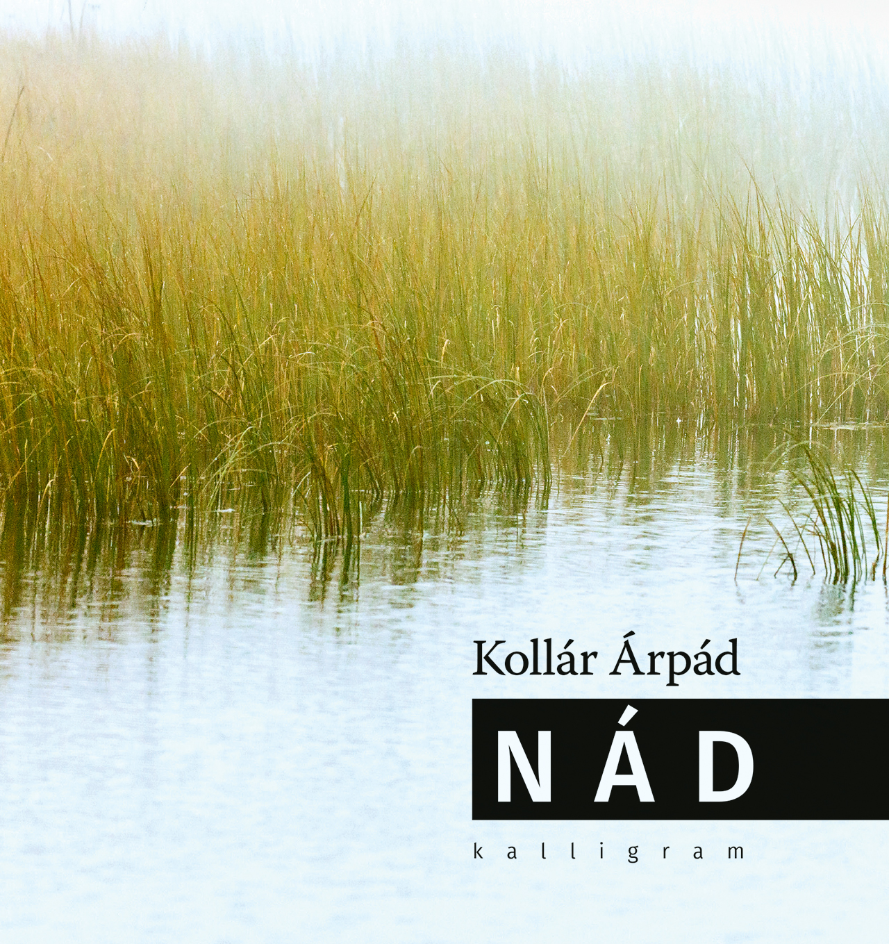 NÁD