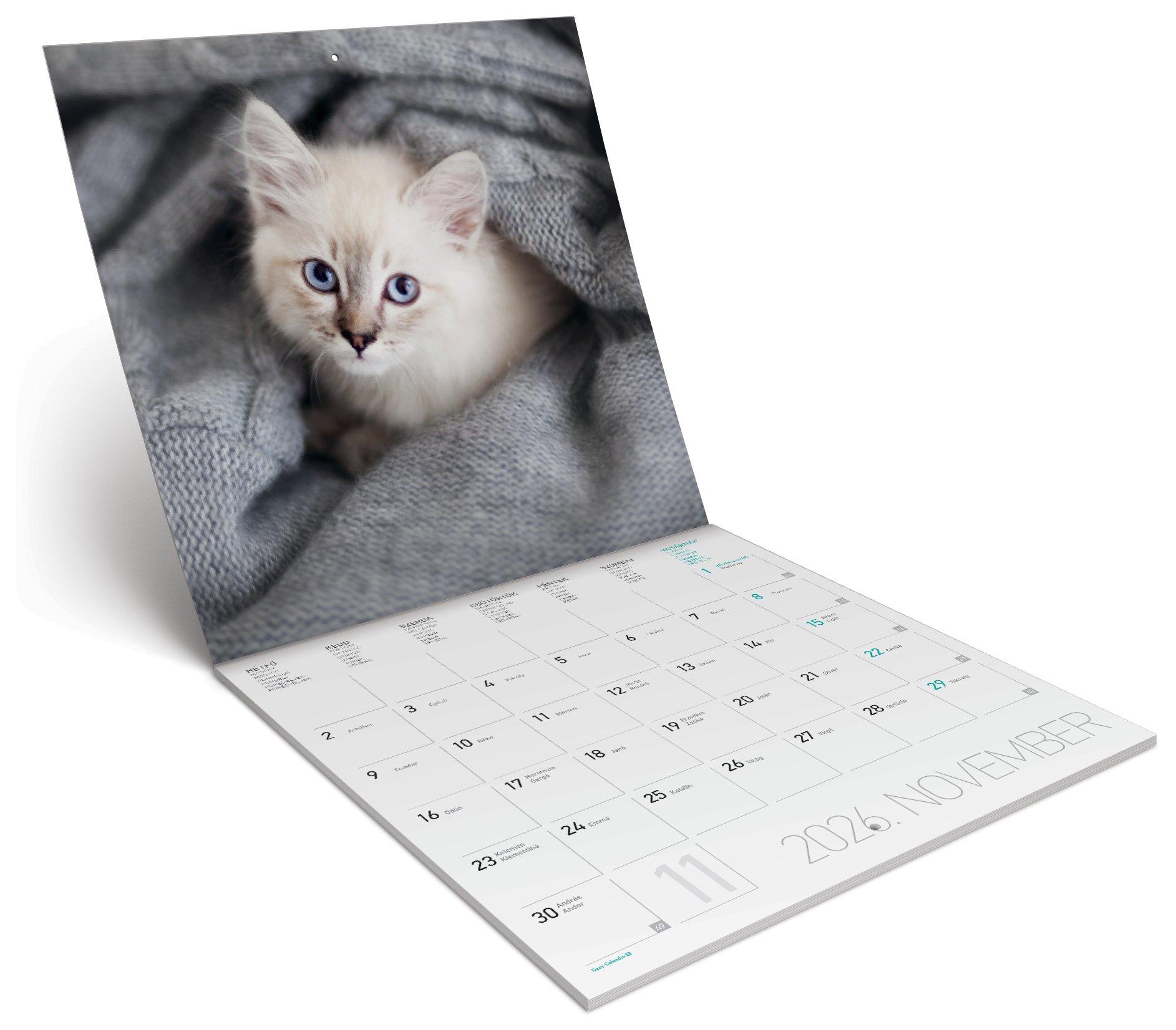 FALINAPTÁR LEMEZ NAGY 2026 CICÁK