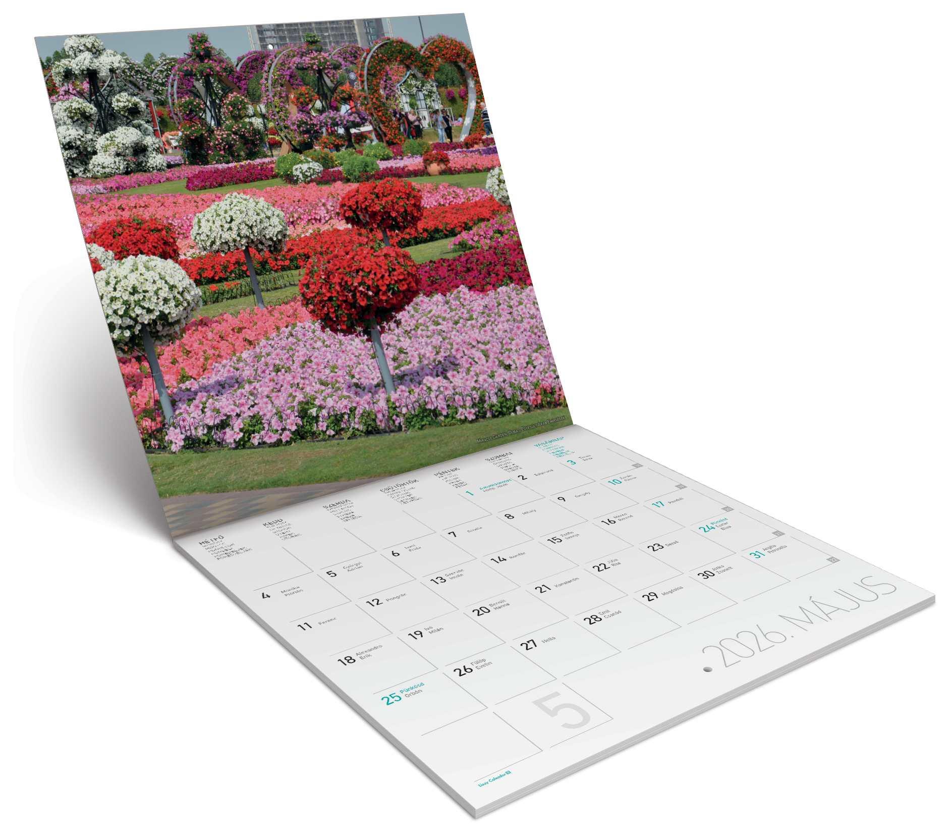 FALINAPTÁR LEMEZ NAGY 2026 DÍSZKERTEK