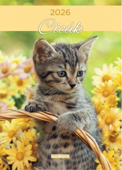 FALINAPTÁR B4 SPIRÁL 2026 CICÁK