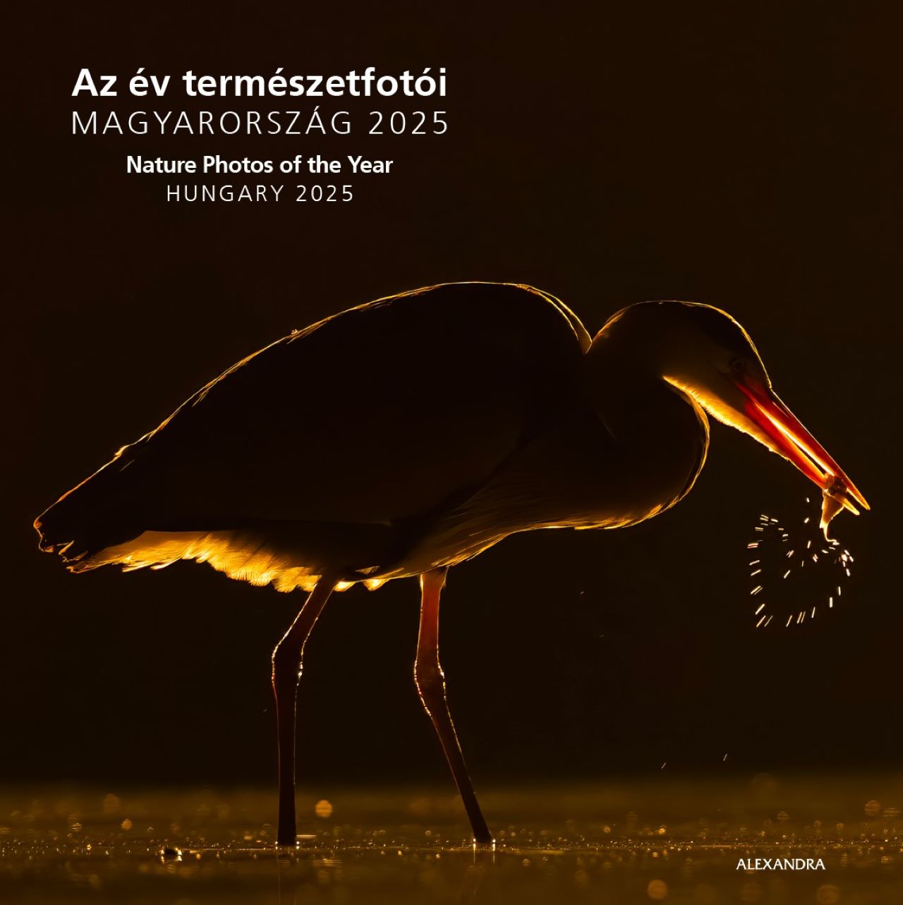 AZ ÉV TERMÉSZETFOTÓI - MAGYARORSZÁG 2025