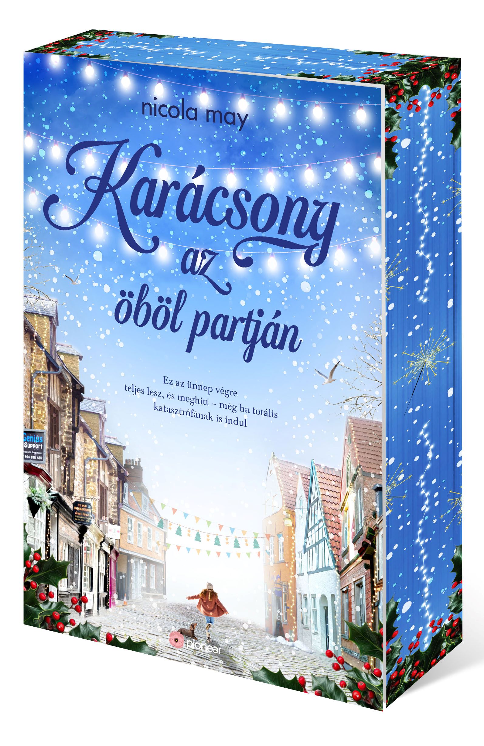 KARÁCSONY AZ ÖBÖL PARTJÁN - ÉLFESTETT