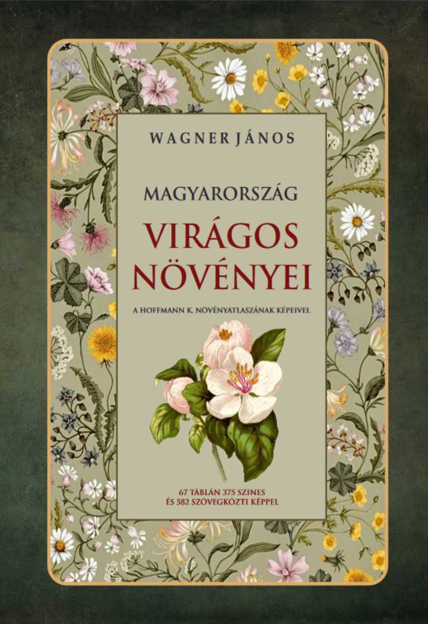 MAGYARORSZÁG VIRÁGOS NÖVÉNYEI