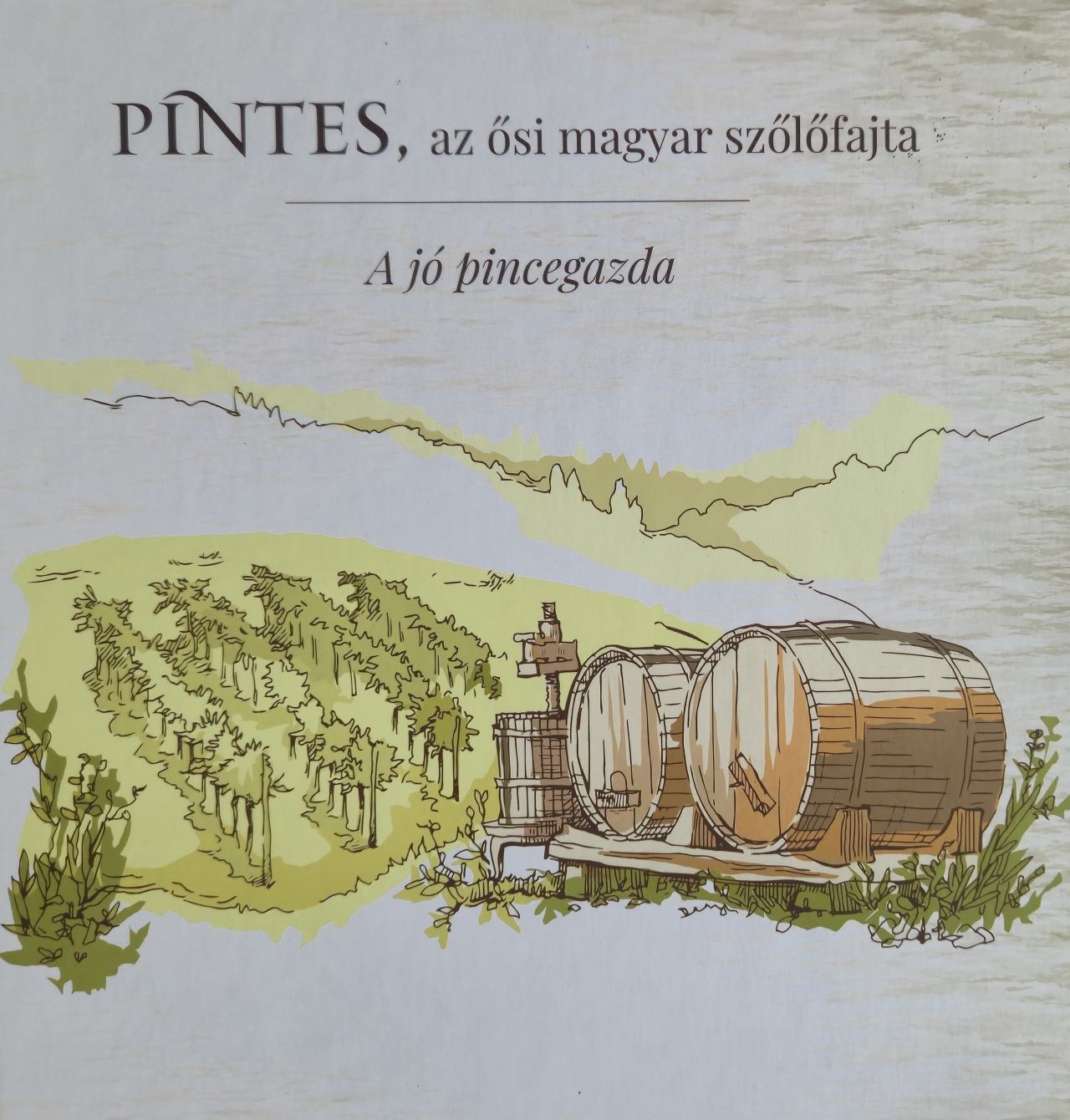 PINTES, AZ ŐSI MAGYAR SZŐLŐFAJTA - A JÓ PINCEGAZDA