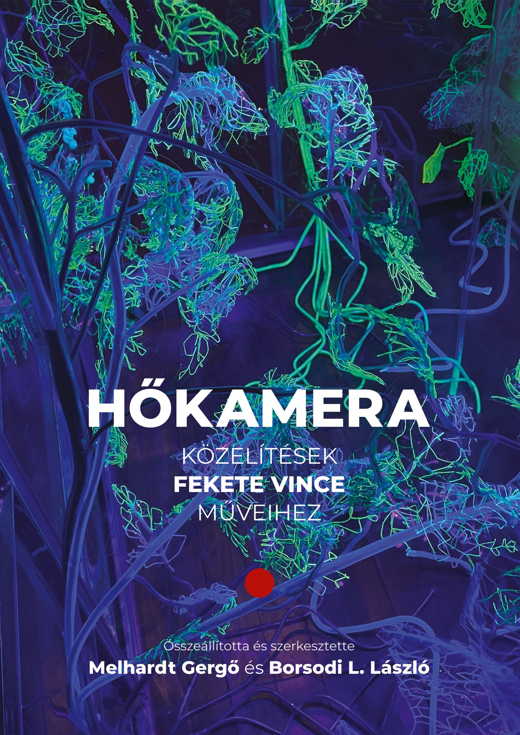 HŐKAMERA - KÖZELÍTÉSEK FEKETE VINCE MŰVEIHEZ