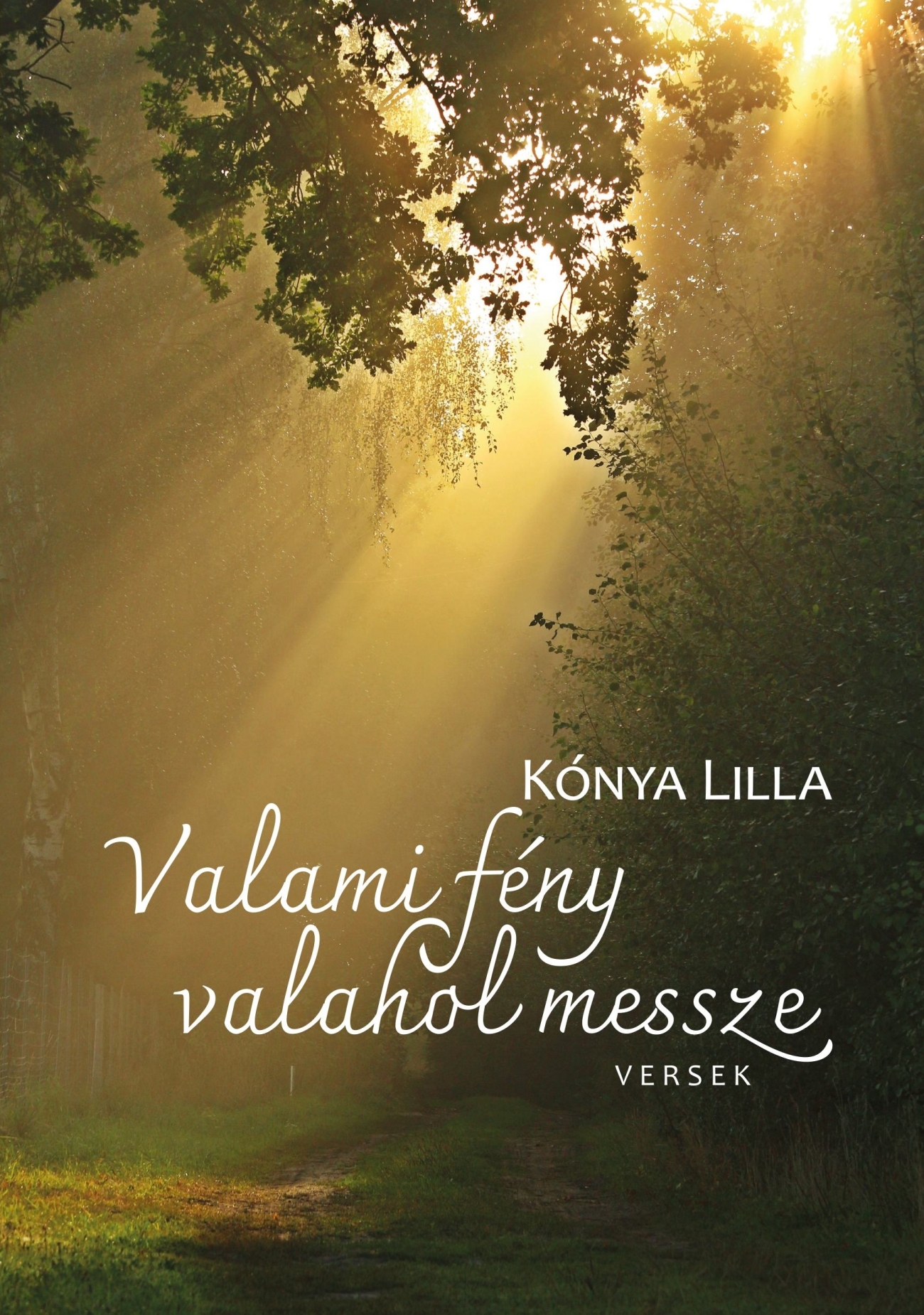 VALAMI FÉNY VALAHOL MESSZE - VERSEK