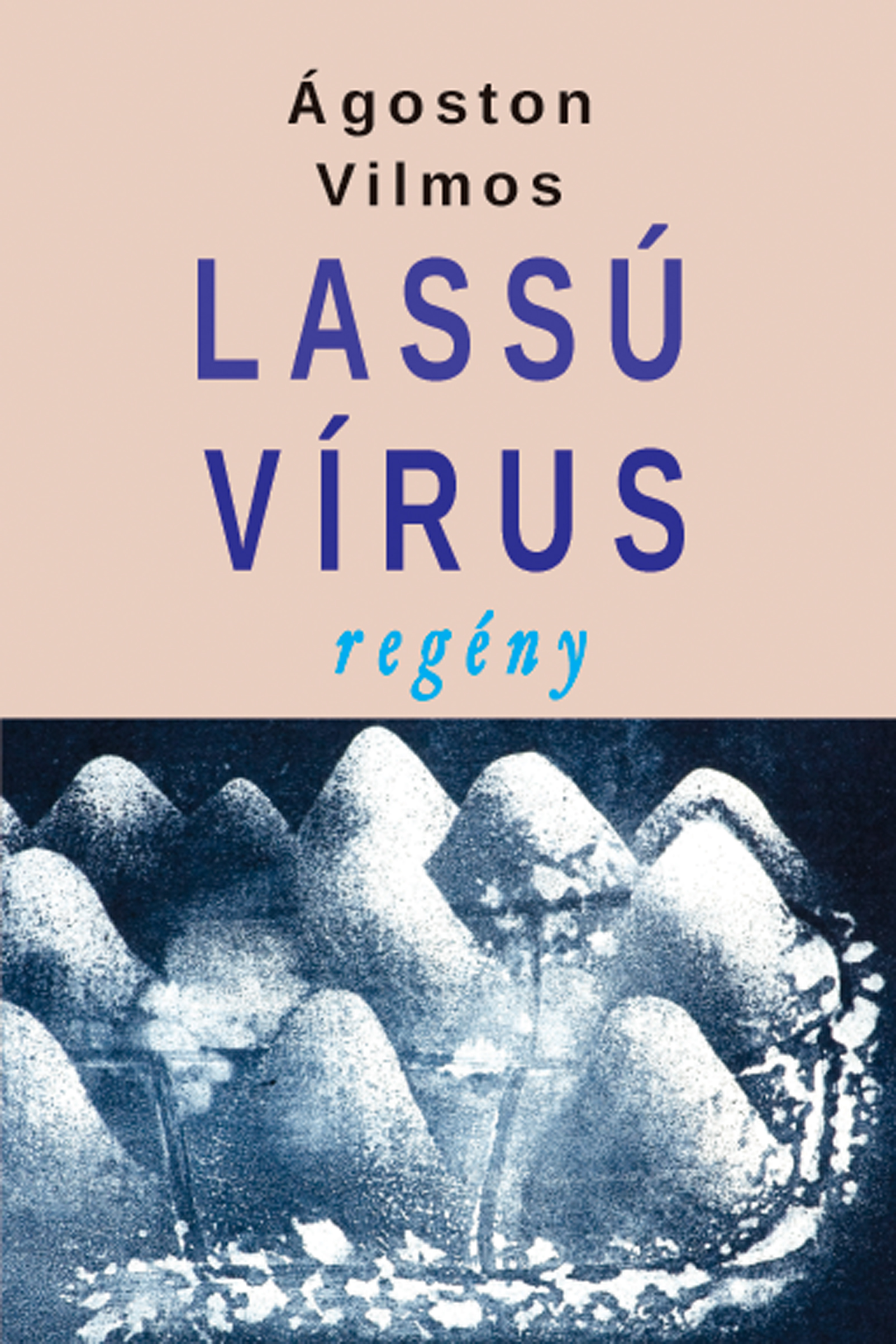 LASSÚ VÍRUS - REGÉNY