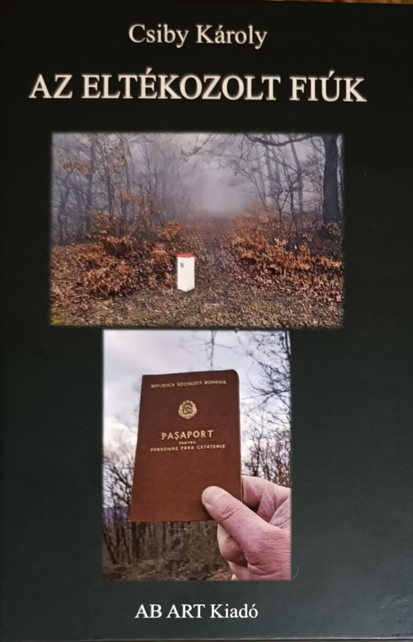 AZ ELTÉKOZOLT FIÚK