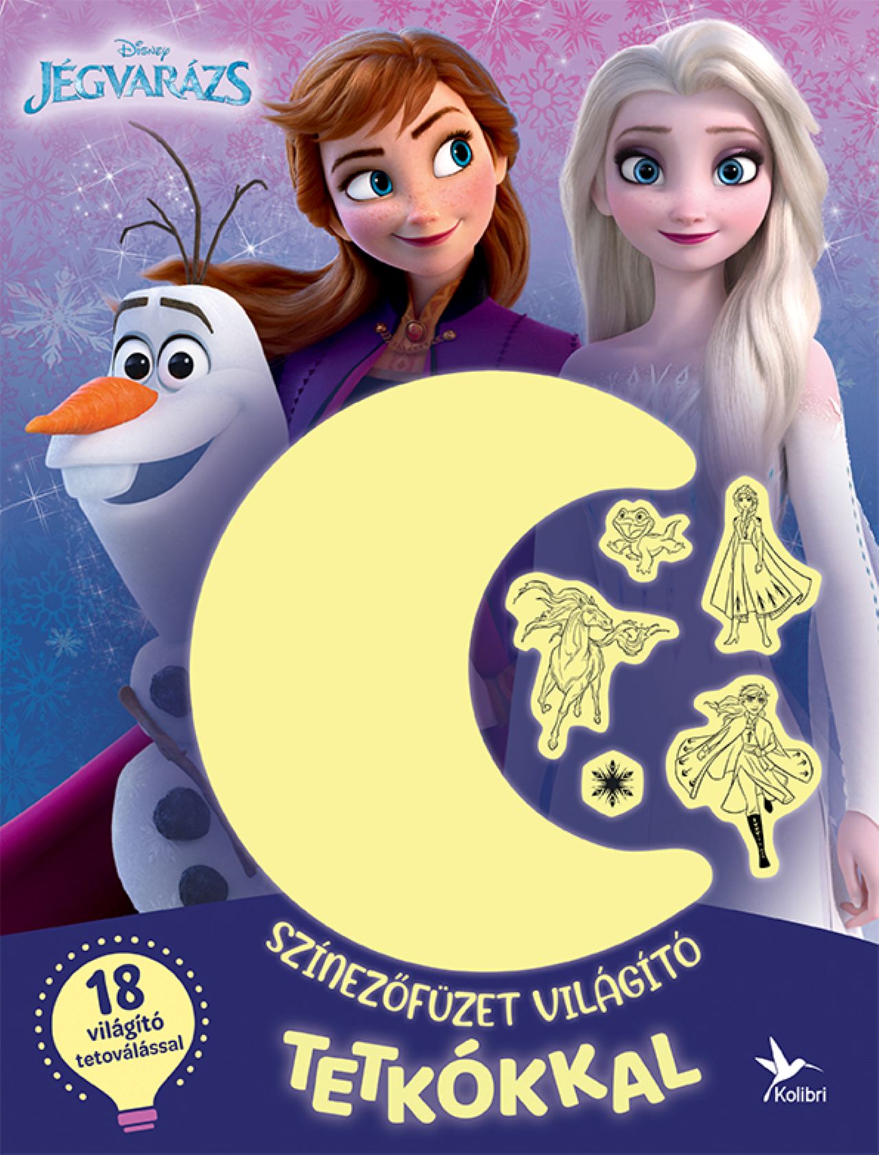 SZÍNEZŐFÜZET VILÁGÍTÓ TETKÓKKAL - JÉGVARÁZS