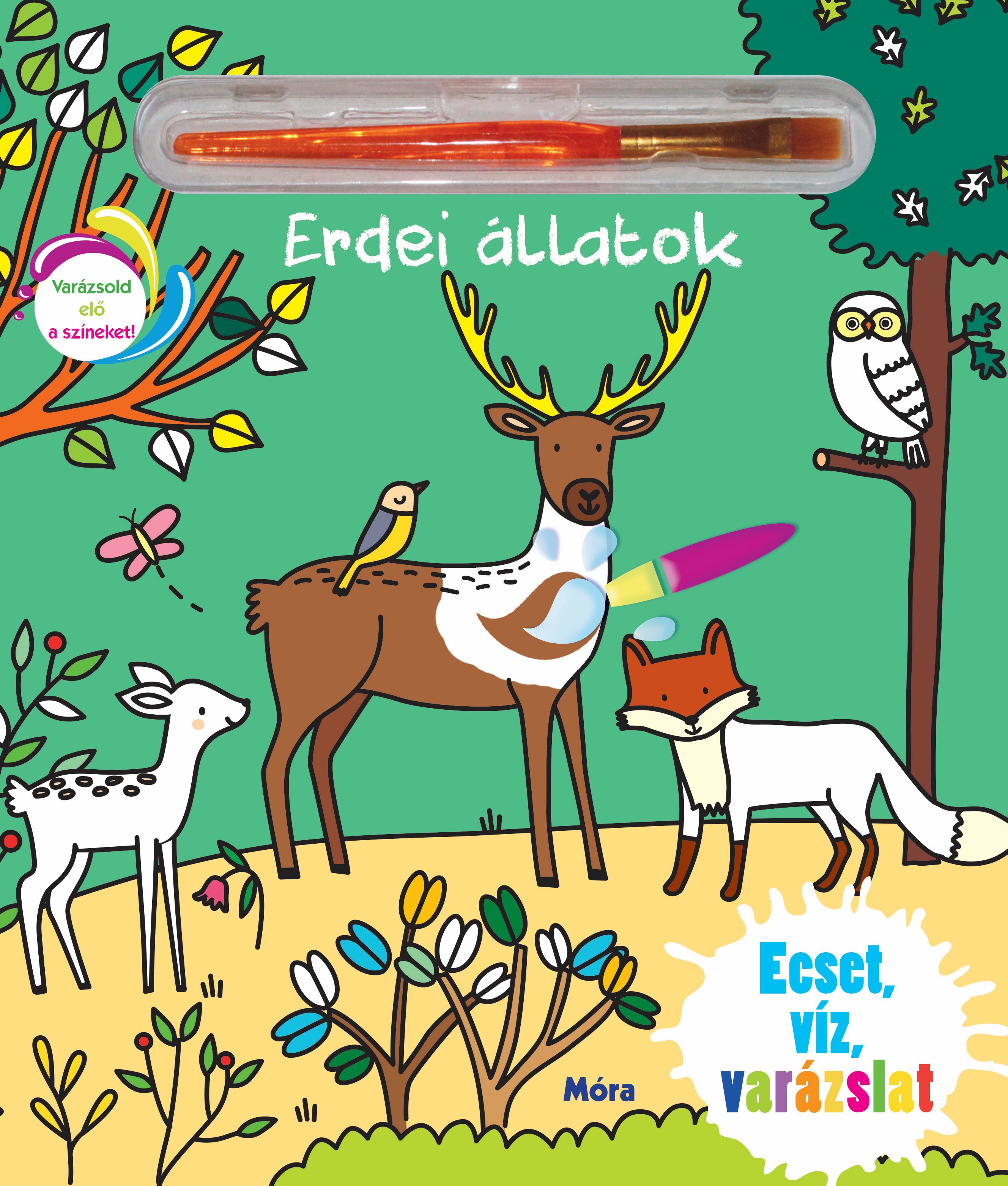 ERDEI ÁLLATOK - ECSET, VÍZ, VARÁZSLAT