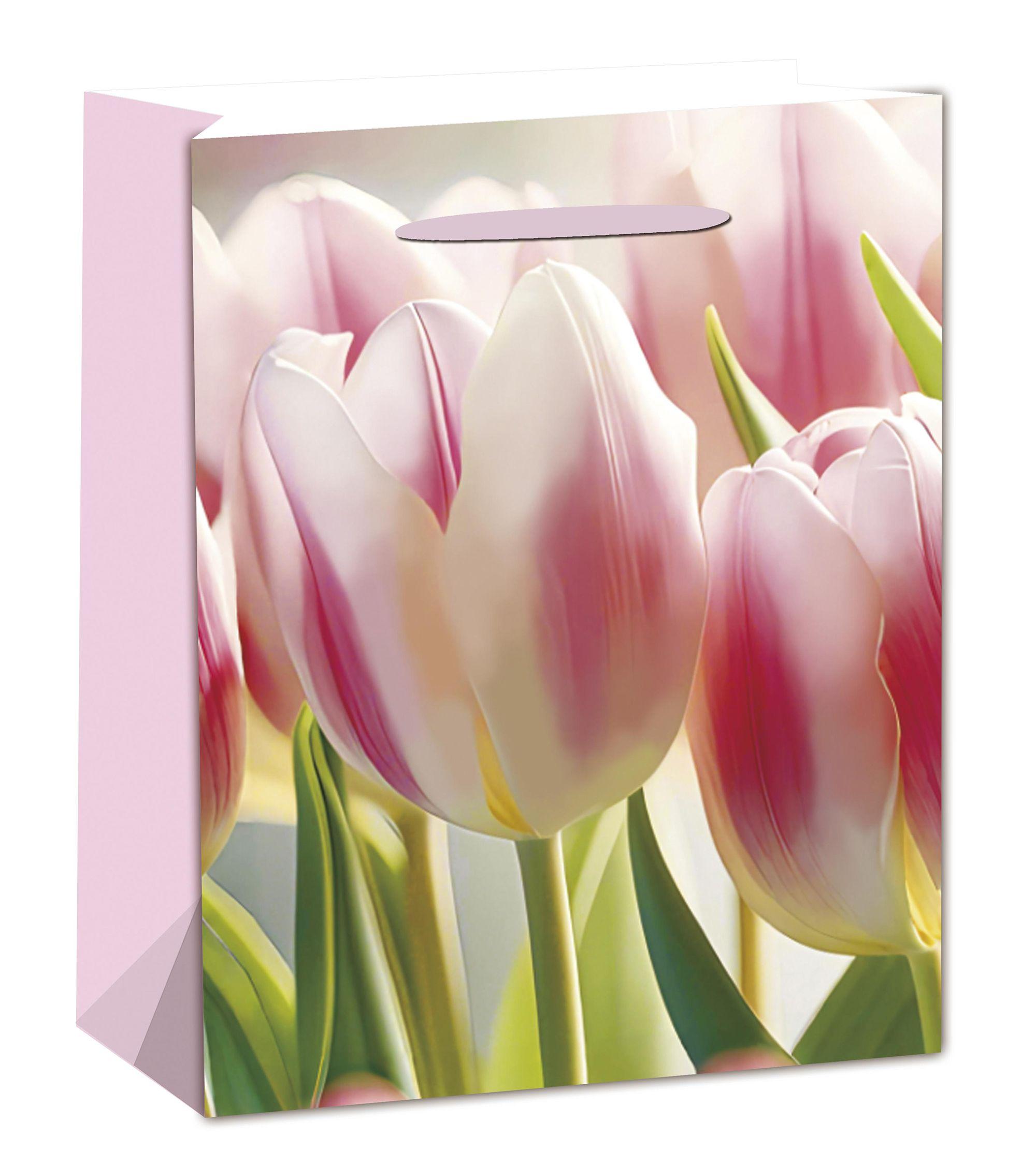 PT.M.RSZ.TULIPÁNOK    26*32