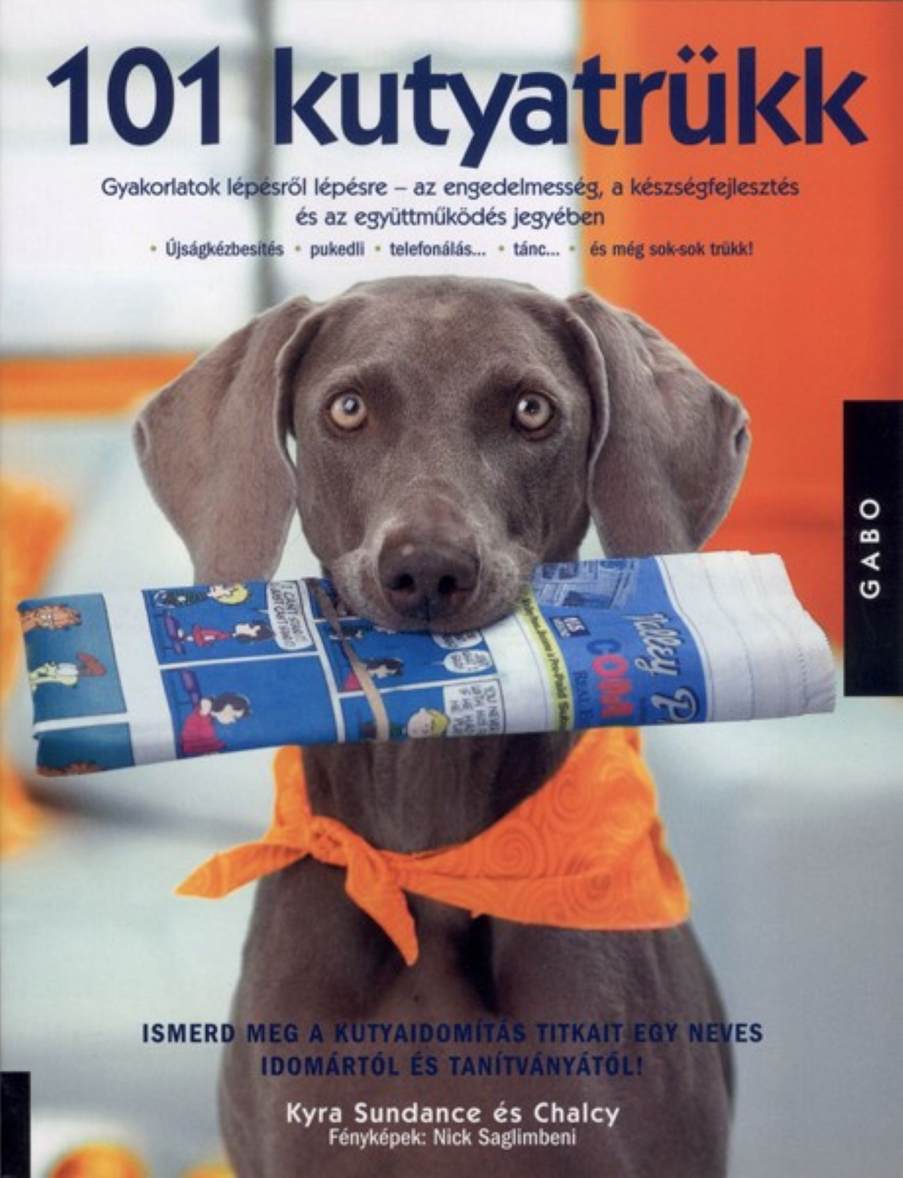 101 KUTYATRÜKK - GYAKORLATOK LÉPÉSRŐL LÉPÉSRE...