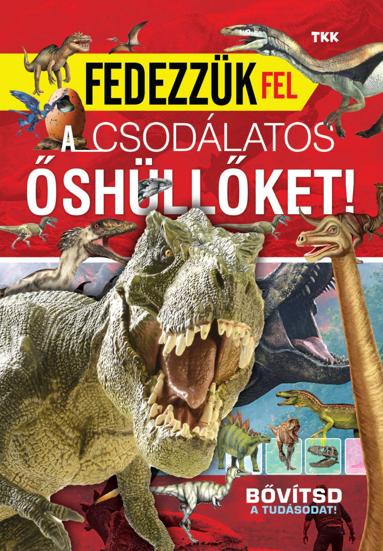 FEDEZZÜK FEL A CSODÁLATOS ŐSHÜLLŐKET - BŐVÍTSD A TUDÁSODAT!