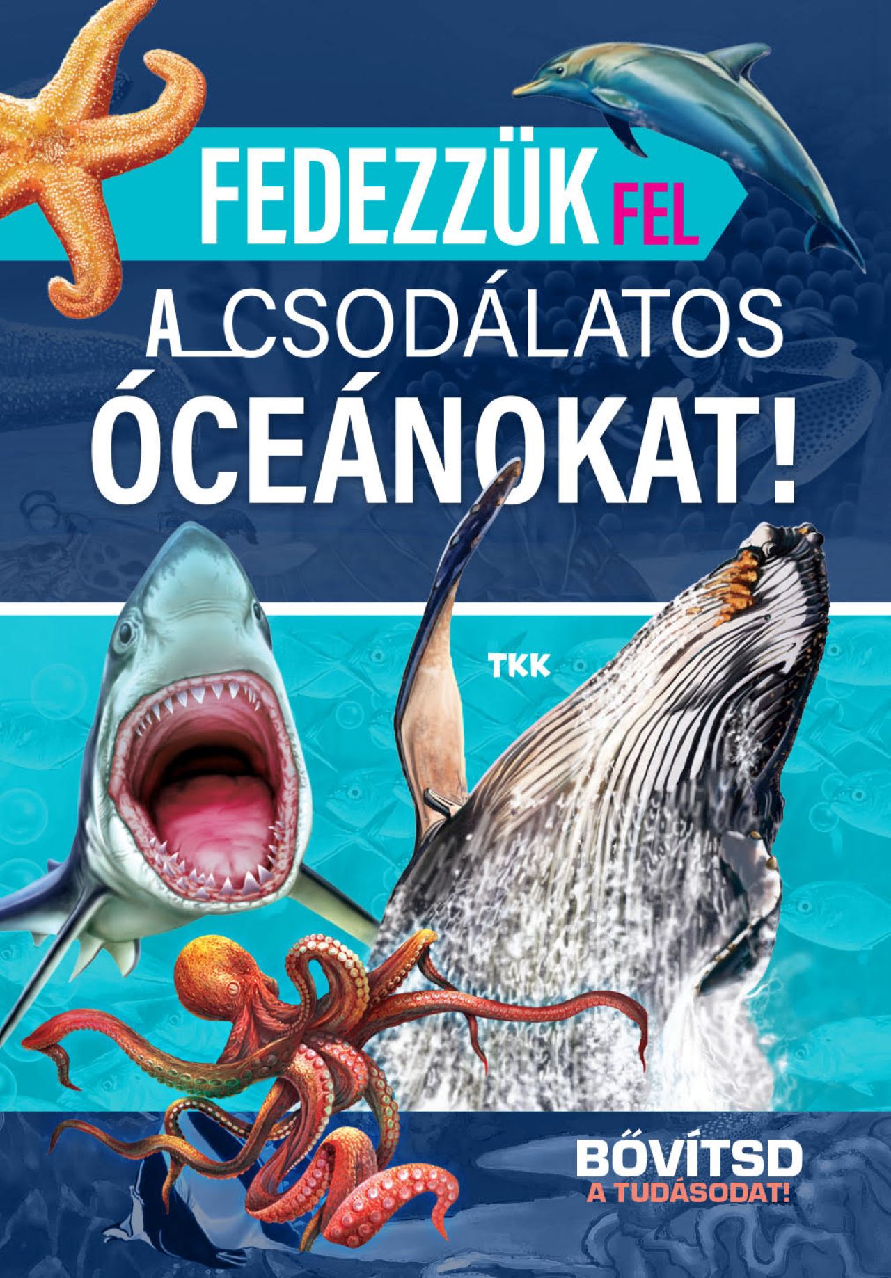 FEDEZZÜK FEL A CSODÁLATOS ÓCEÁNOKAT -  BŐVÍTSD A TUDÁSODAT!