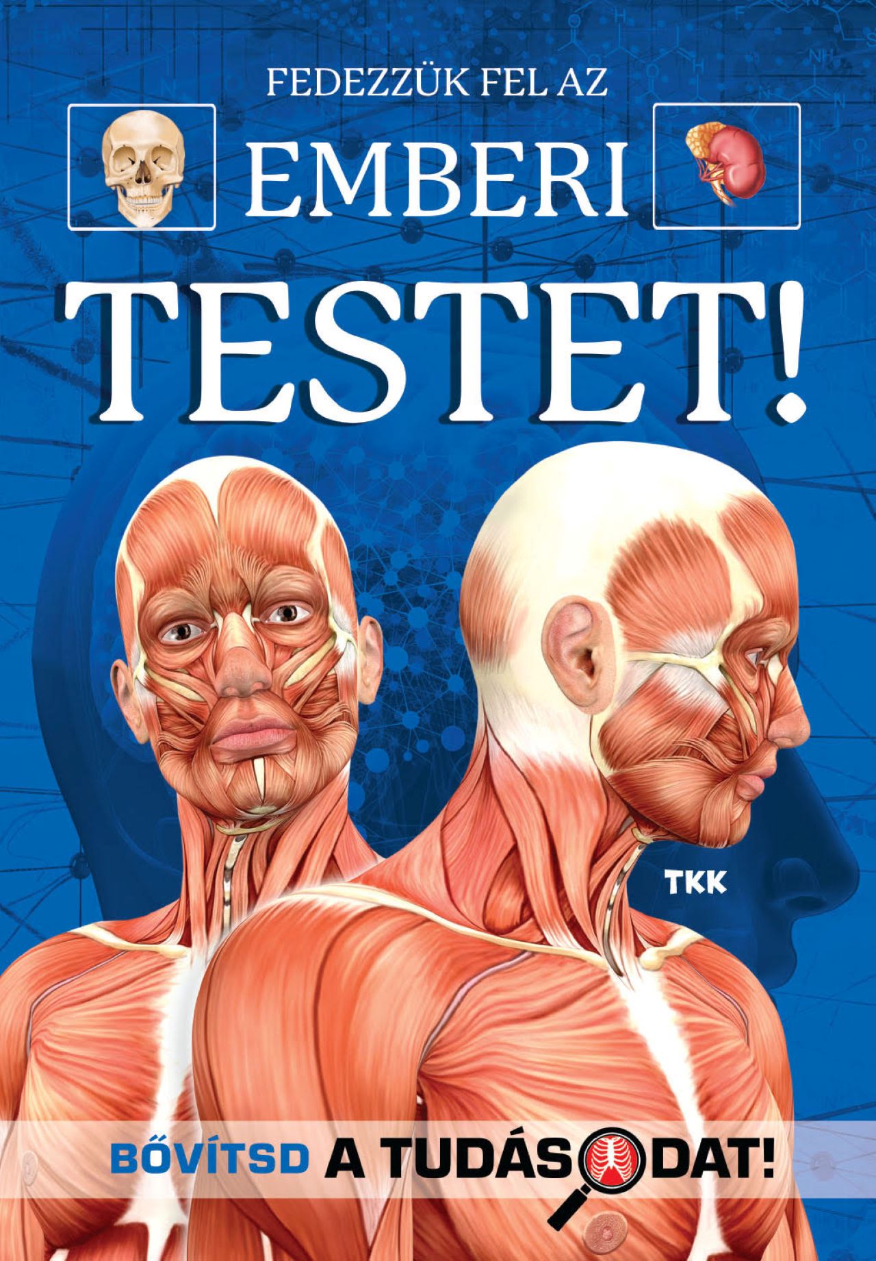 FEDEZZÜK FEL AZ EMBERI TESTET - BŐVÍTSD A TUDÁSODAT!