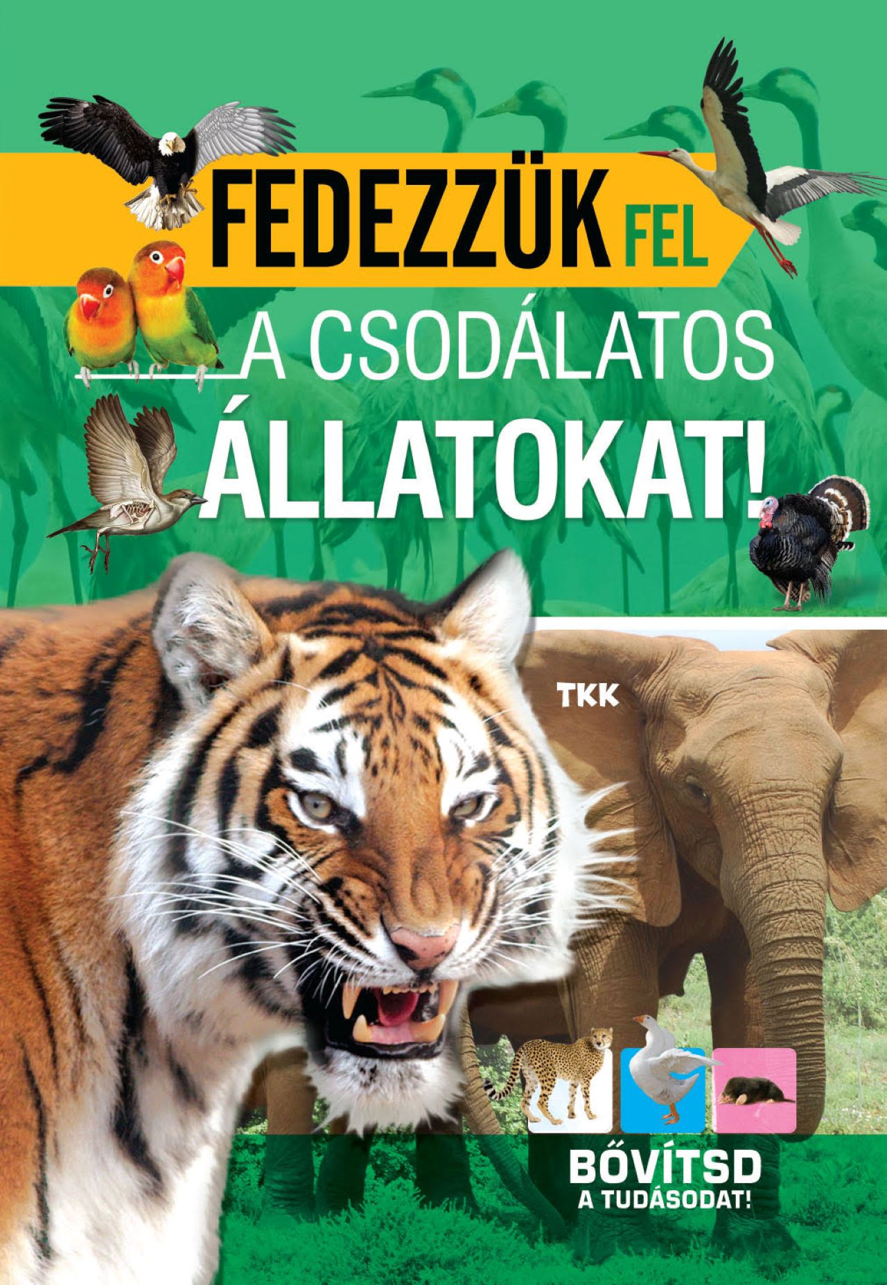 FEDEZZÜK FEL A CSODÁLATOS ÁLLATOKAT - BŐVÍTSD A TUDÁSODAT!