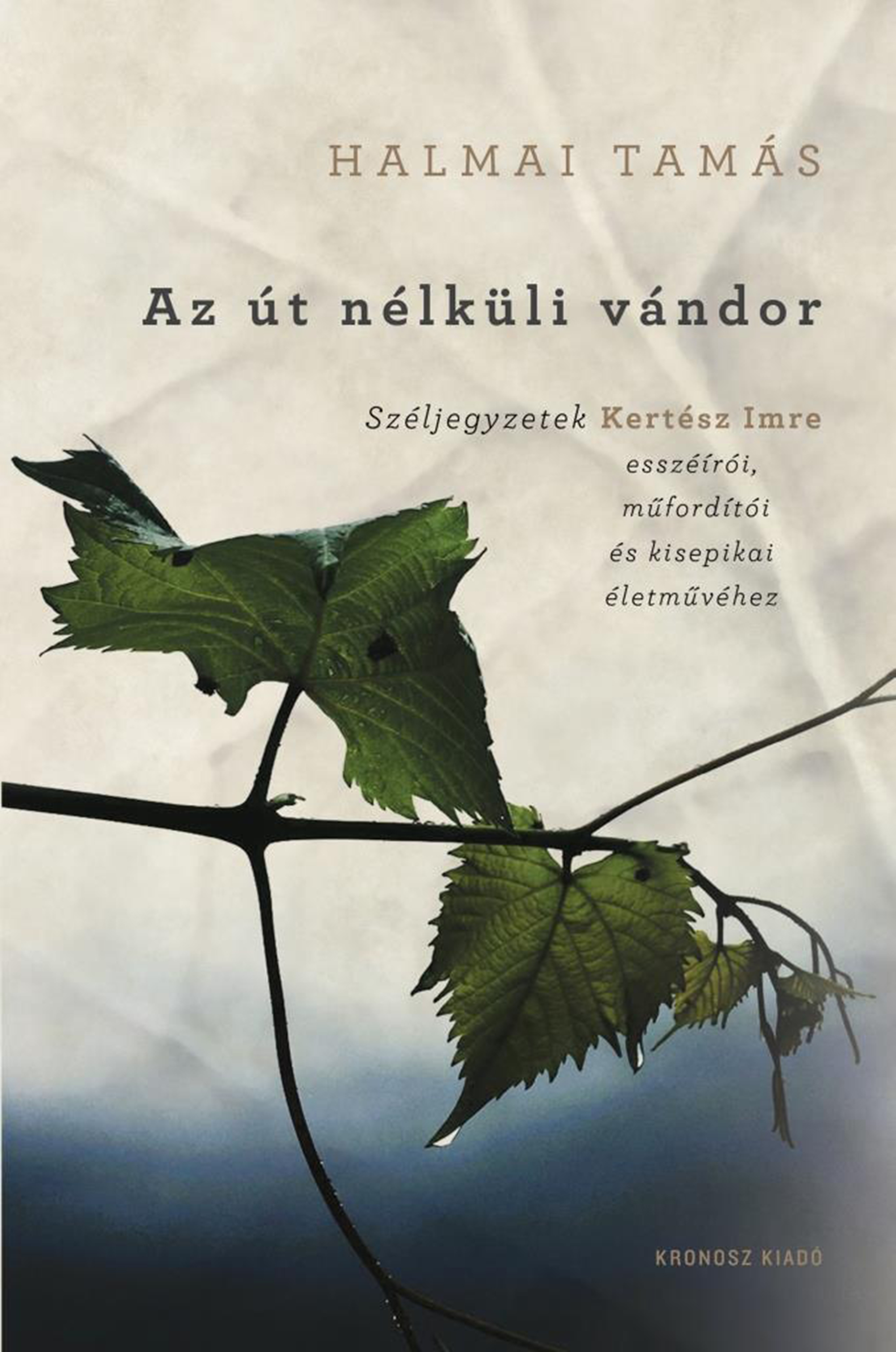 AZ ÚT NÉLKÜLI VÁNDOR