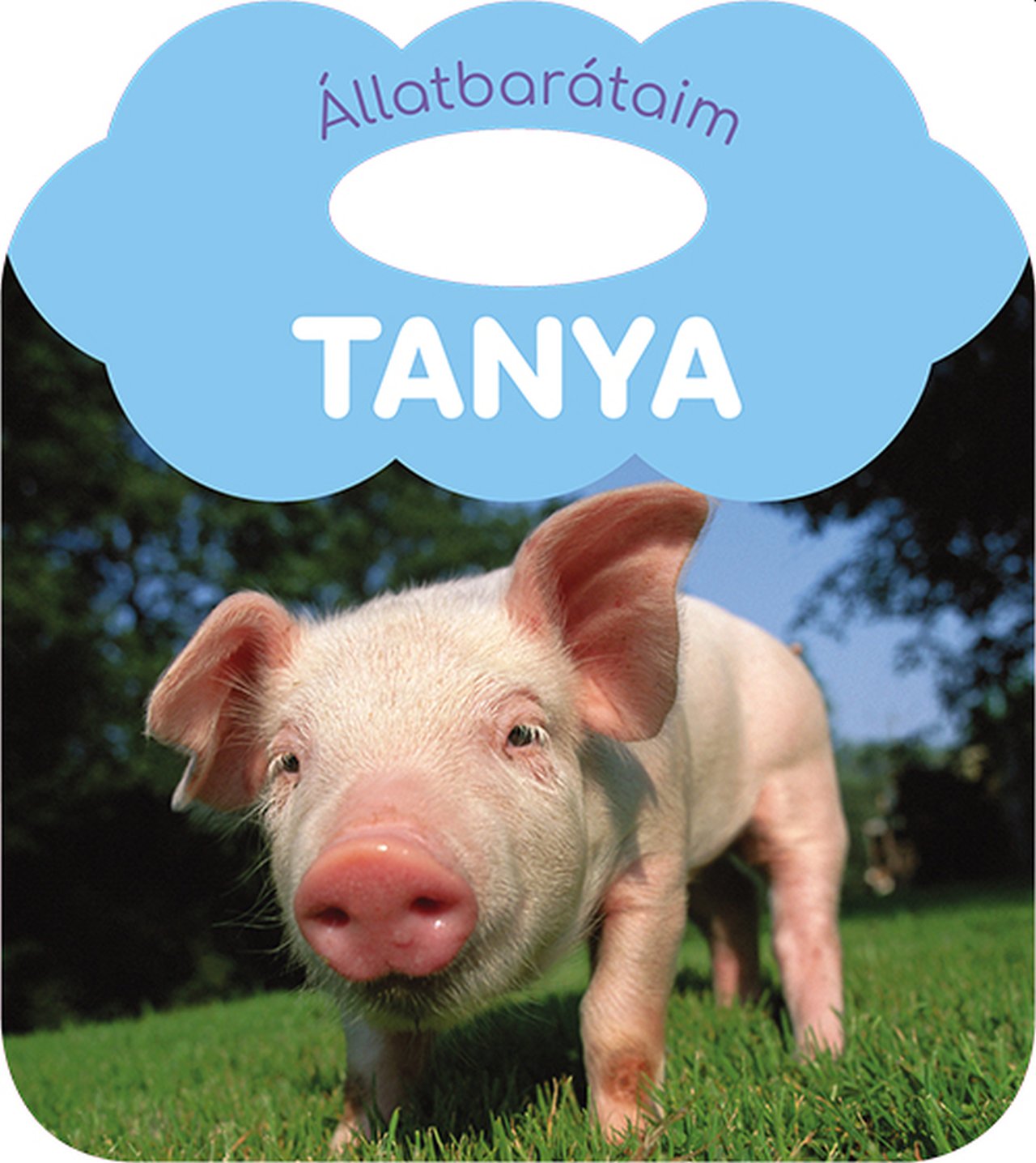 TANYA - ÁLLATBARÁTAIM