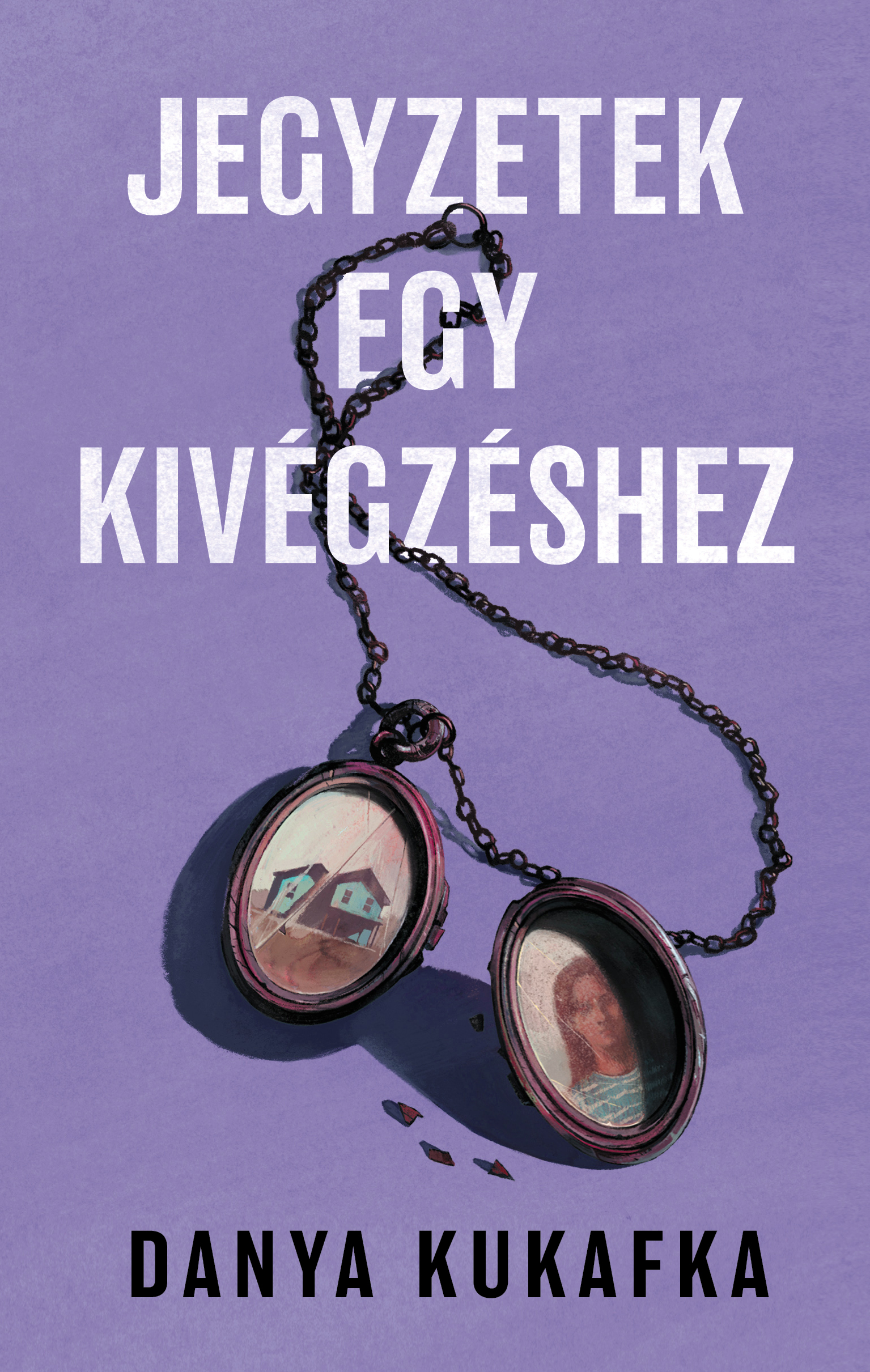 JEGYZETEK EGY KIVÉGZÉSHEZ