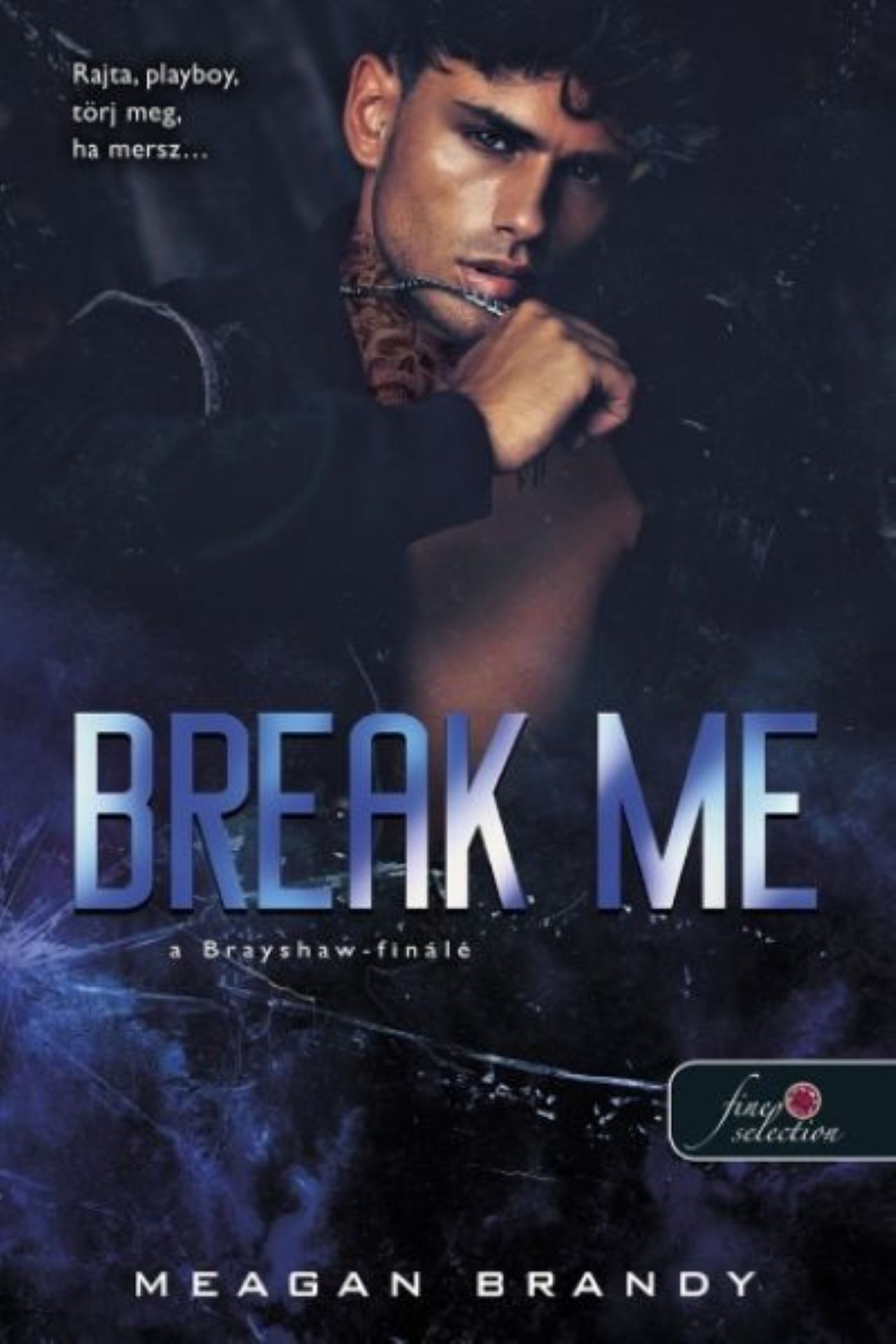 BREAK ME - A BRAYSHAW-FINÁLÉ