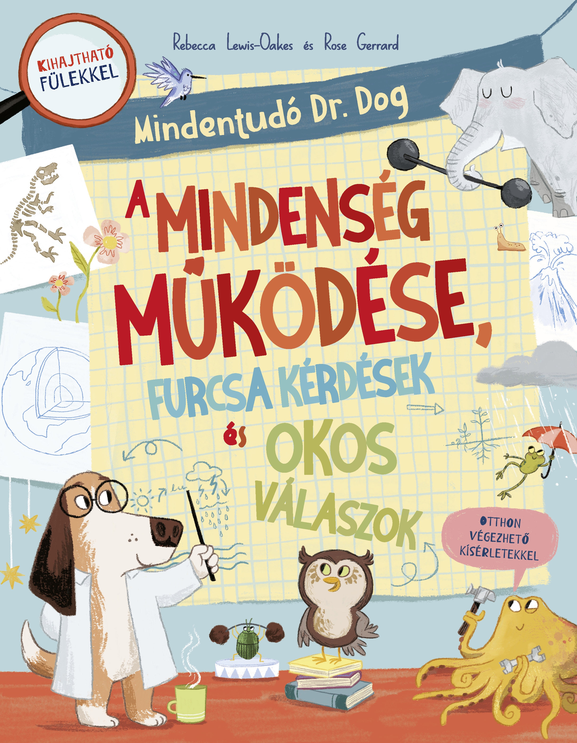 MINDENTUDÓ DR. DOG - A MINDENSÉG MŰKÖDÉSE, FURCSA KÉRDÉSEK ÉS OKOS VÁLASZOK