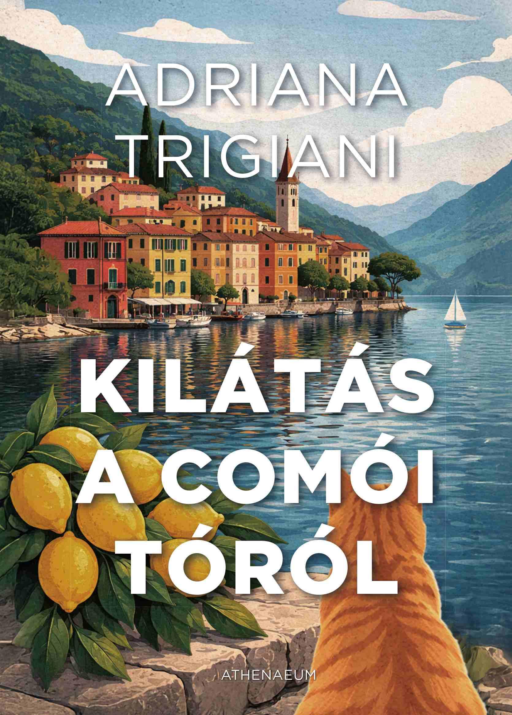 KILÁTÁS A COMÓI-TÓRÓL