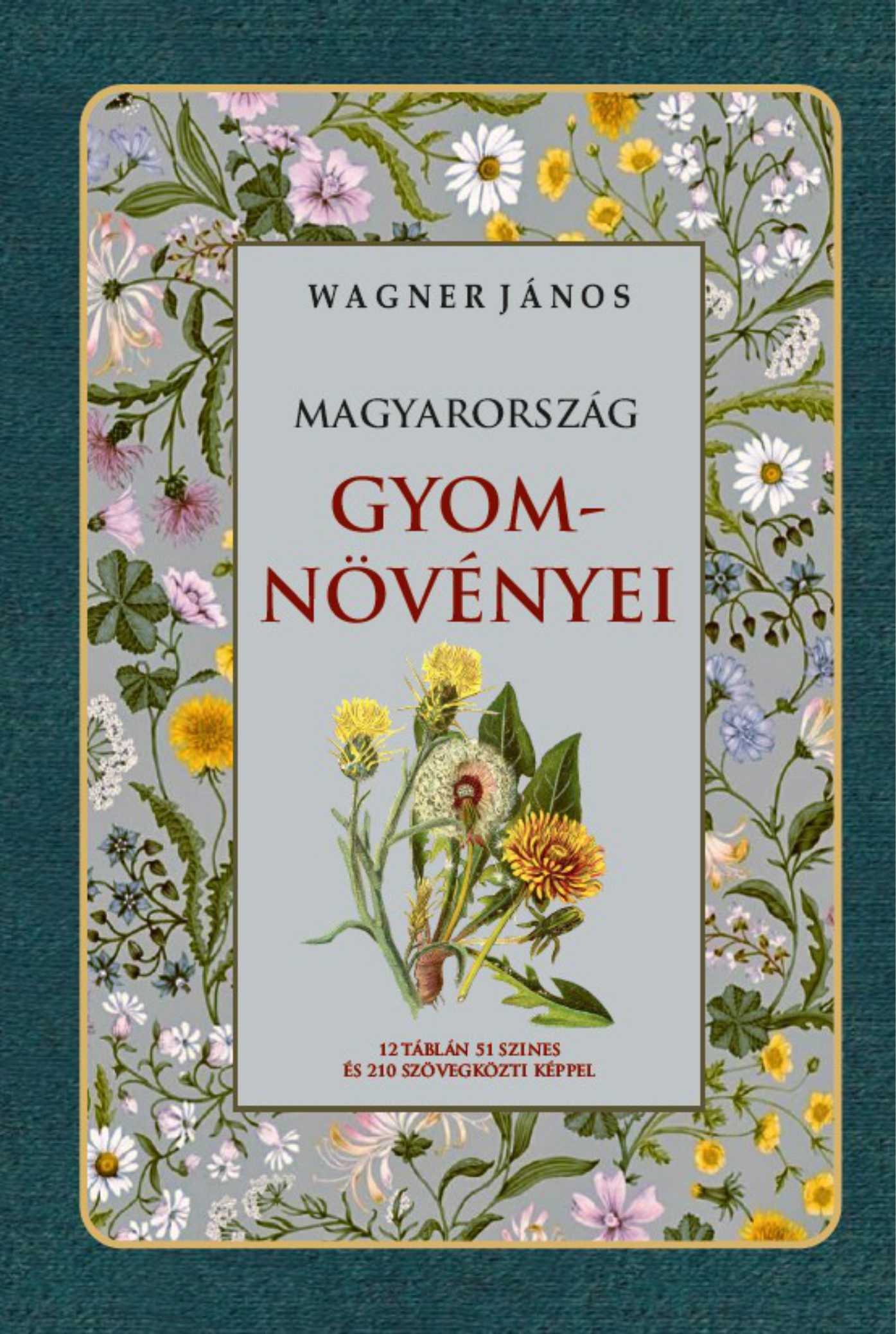 MAGYARORSZÁG GYOMNÖVÉNYEI