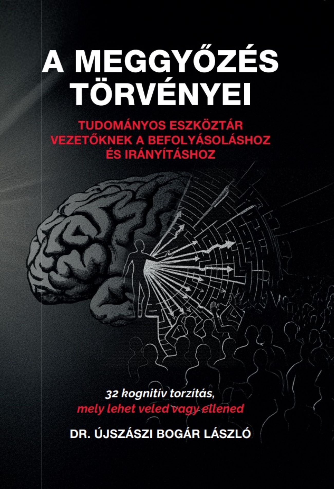 A MEGGYŐZÉS TÖRVÉNYEI - TUDOMÁNYOS ESZKÖZTÁR VEZETŐKNEK A BEFOLYÁSOLÁSHOZ ÉS IRÁ