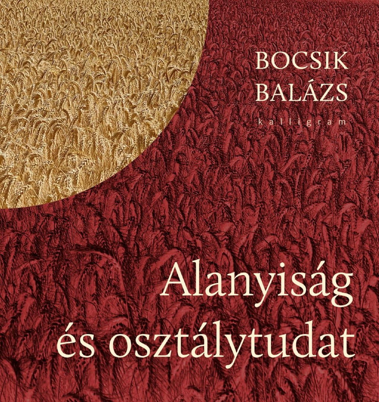 ALANYISÁG ÉS OSZTÁLYTUDAT