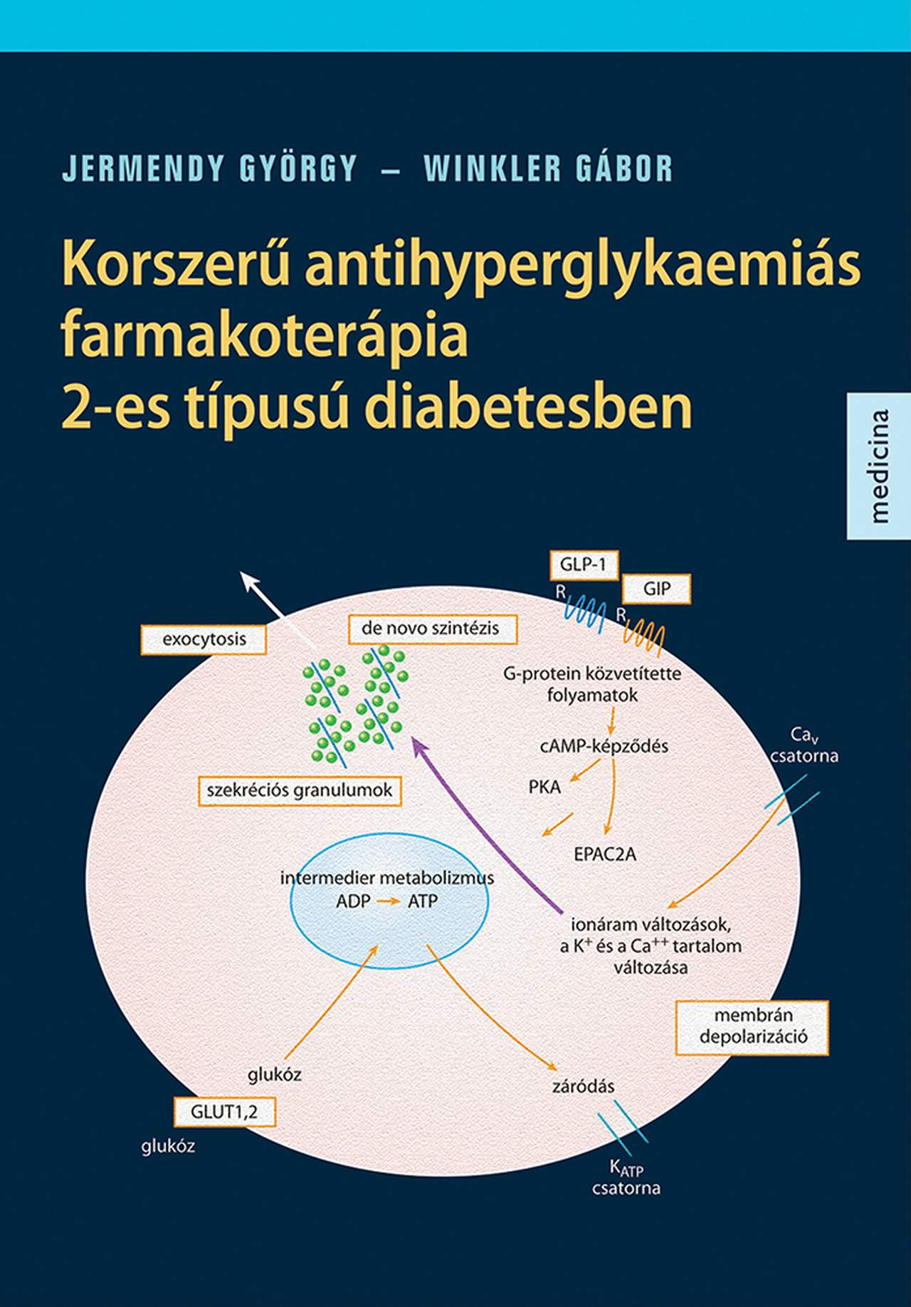 KORSZERŰ ANTIHYPERGLYKAEMIÁS FARMAKOTERÁPIA 2-ES TÍPUSÚ DIABETESBEN