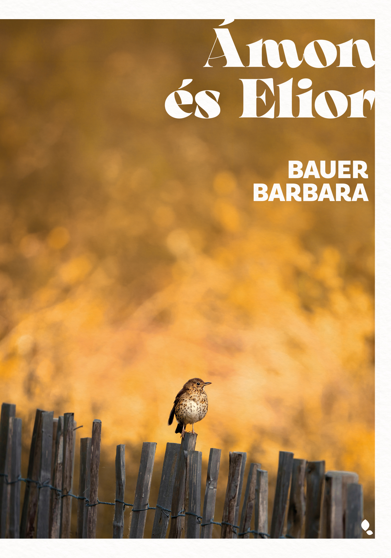 ÁMON ÉS ELIOR - ÉLFESTETT