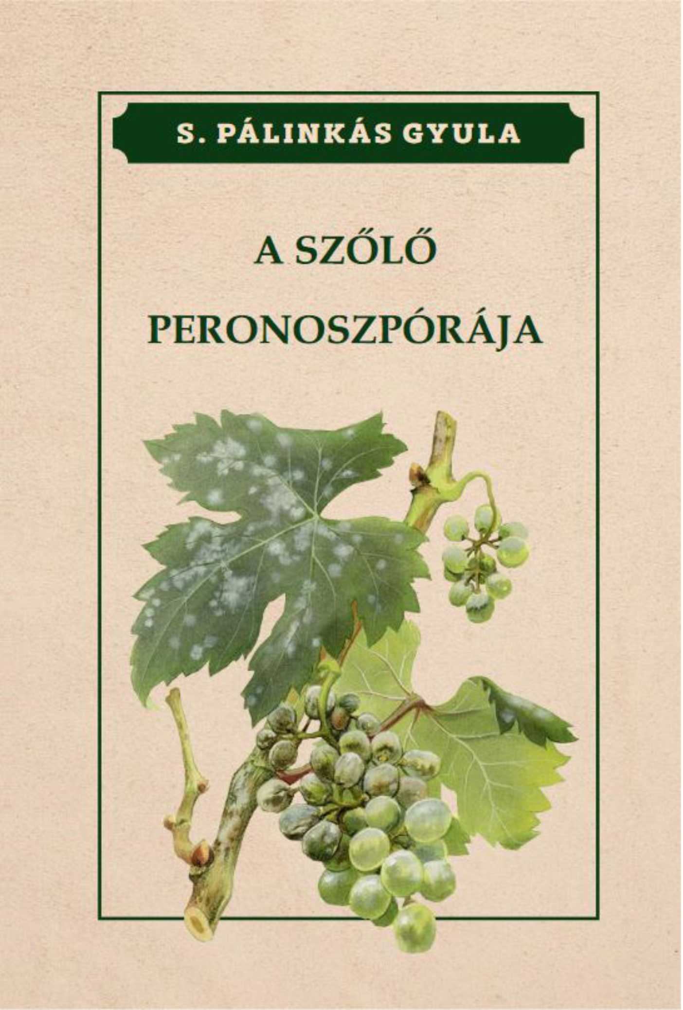 A SZŐLŐ PERONOSZPÓRÁJA