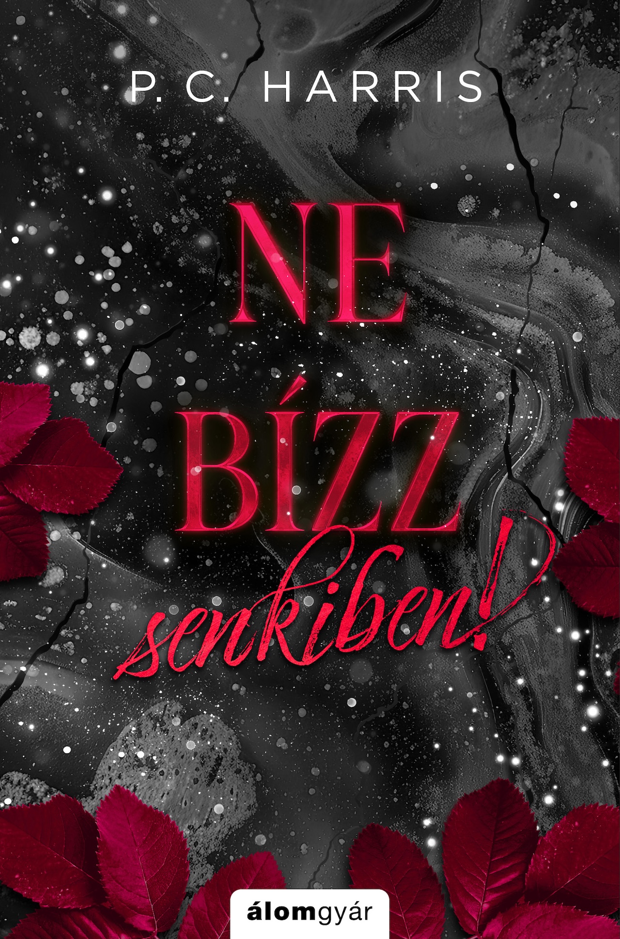 NE BÍZZ SENKIBEN! - ÉLFESTETT