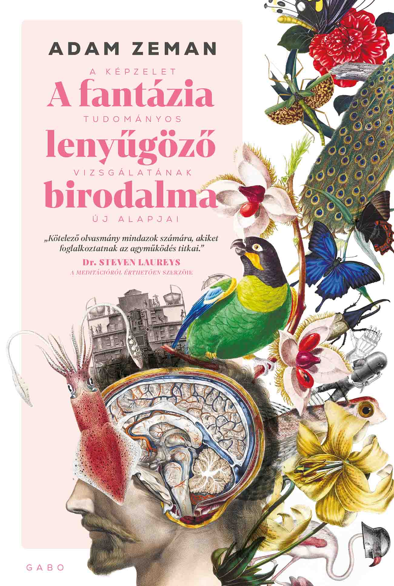 A FANTÁZIA LENYŰGÖZŐ BIRODALMA - A KÉPZELET TUDOMÁNYOS VIZSGÁLATÁNAK ÚJ ALAPJAI