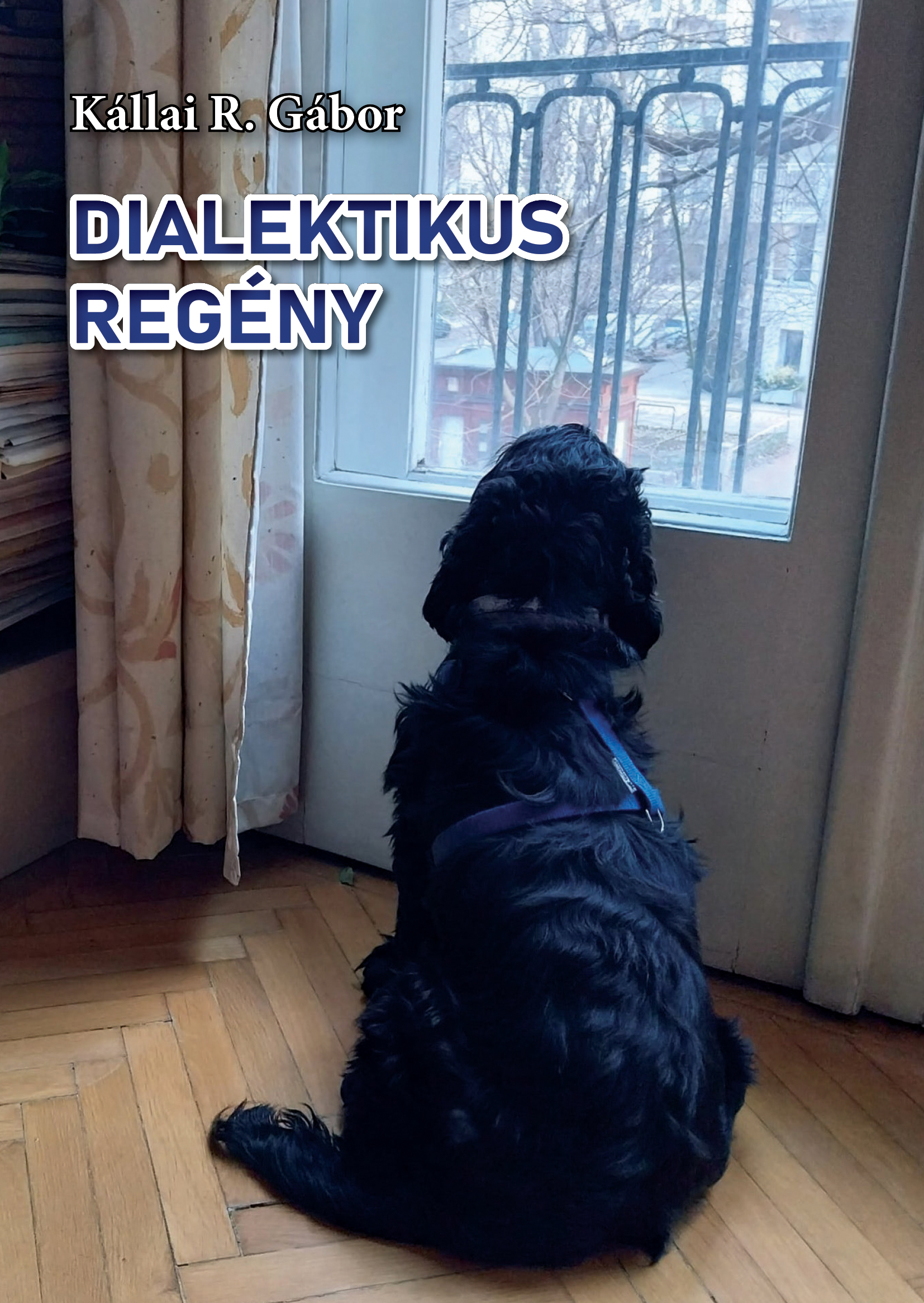 DIALEKTIKUS REGÉNY