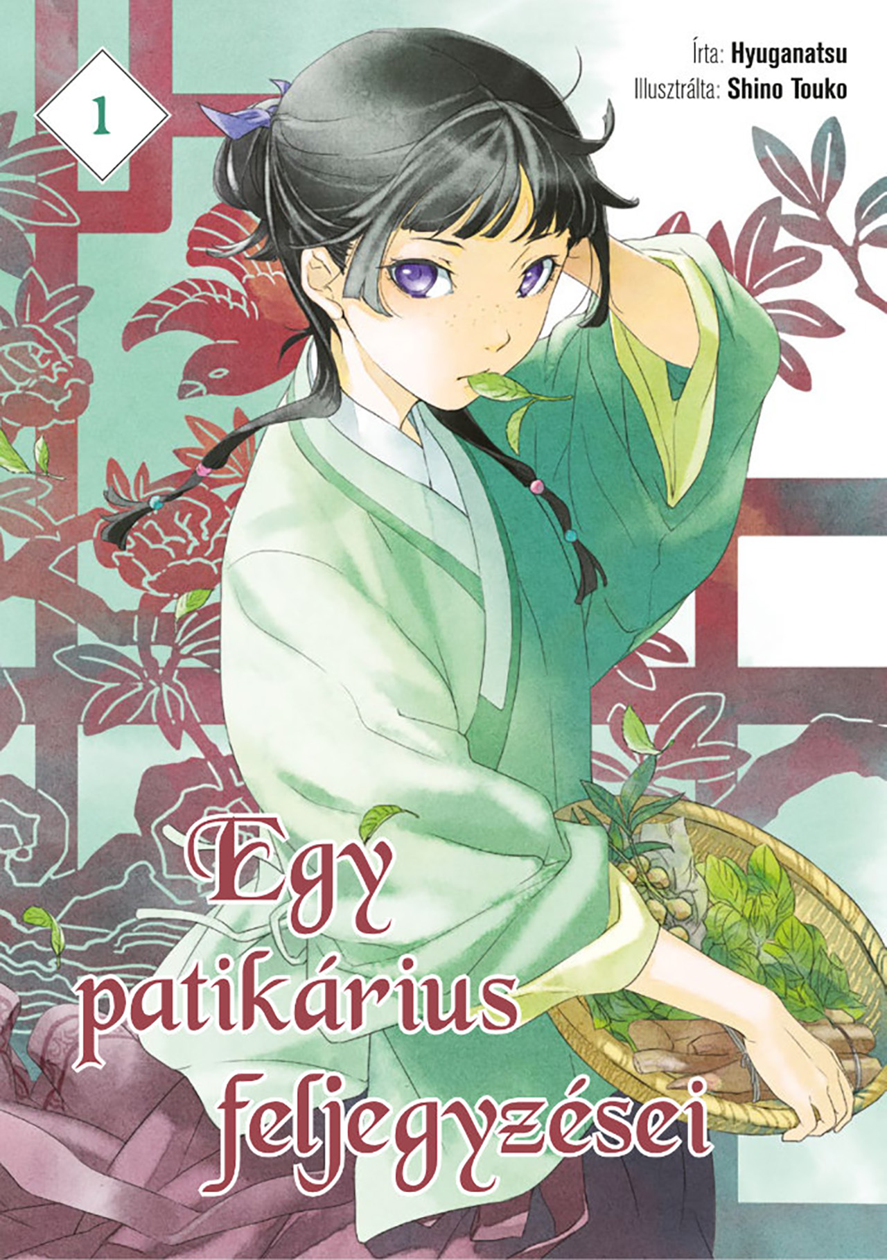 EGY PATIKÁRIUS FELJEGYZÉSEI 1.