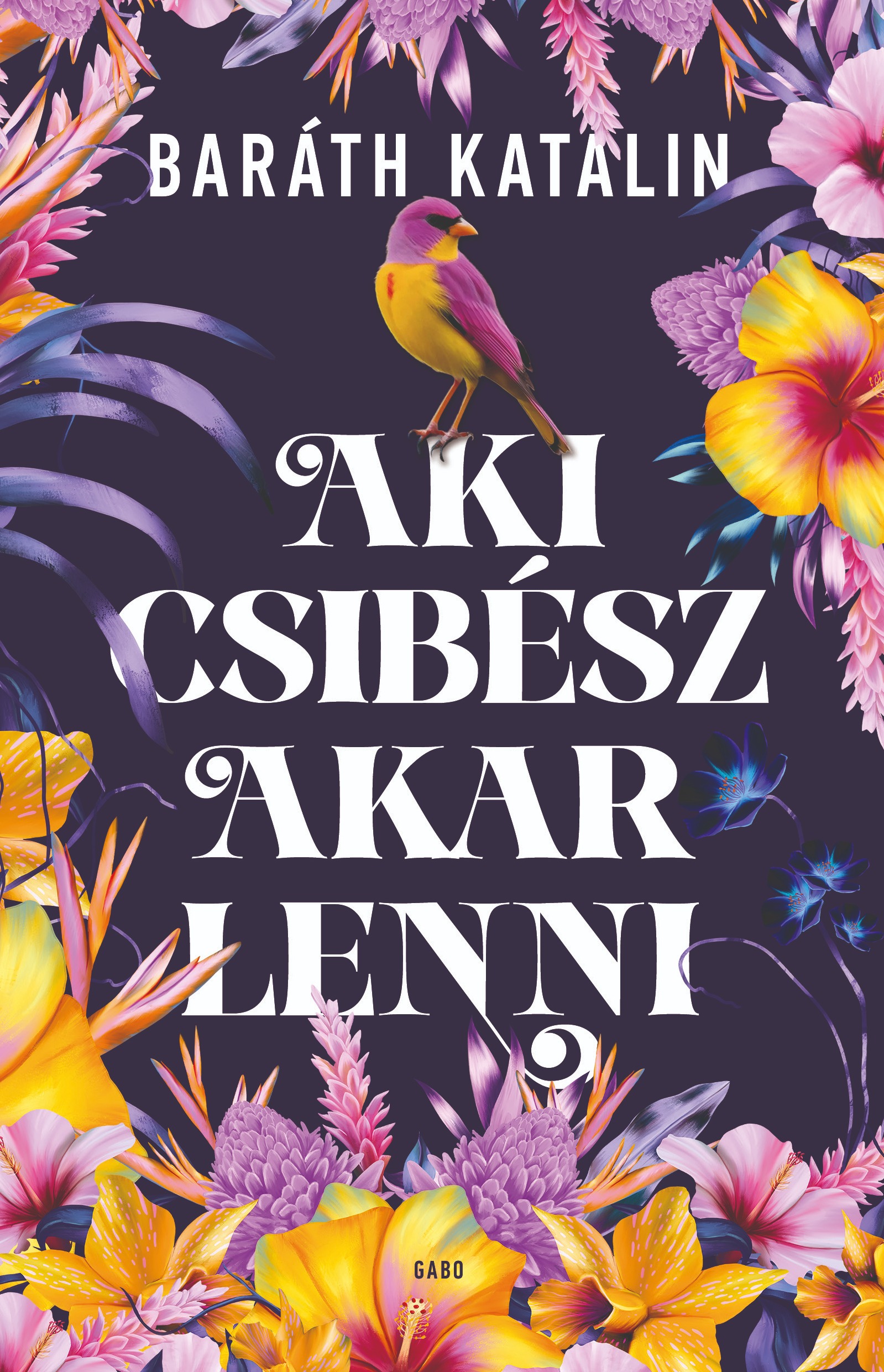 AKI CSIBÉSZ AKAR LENNI