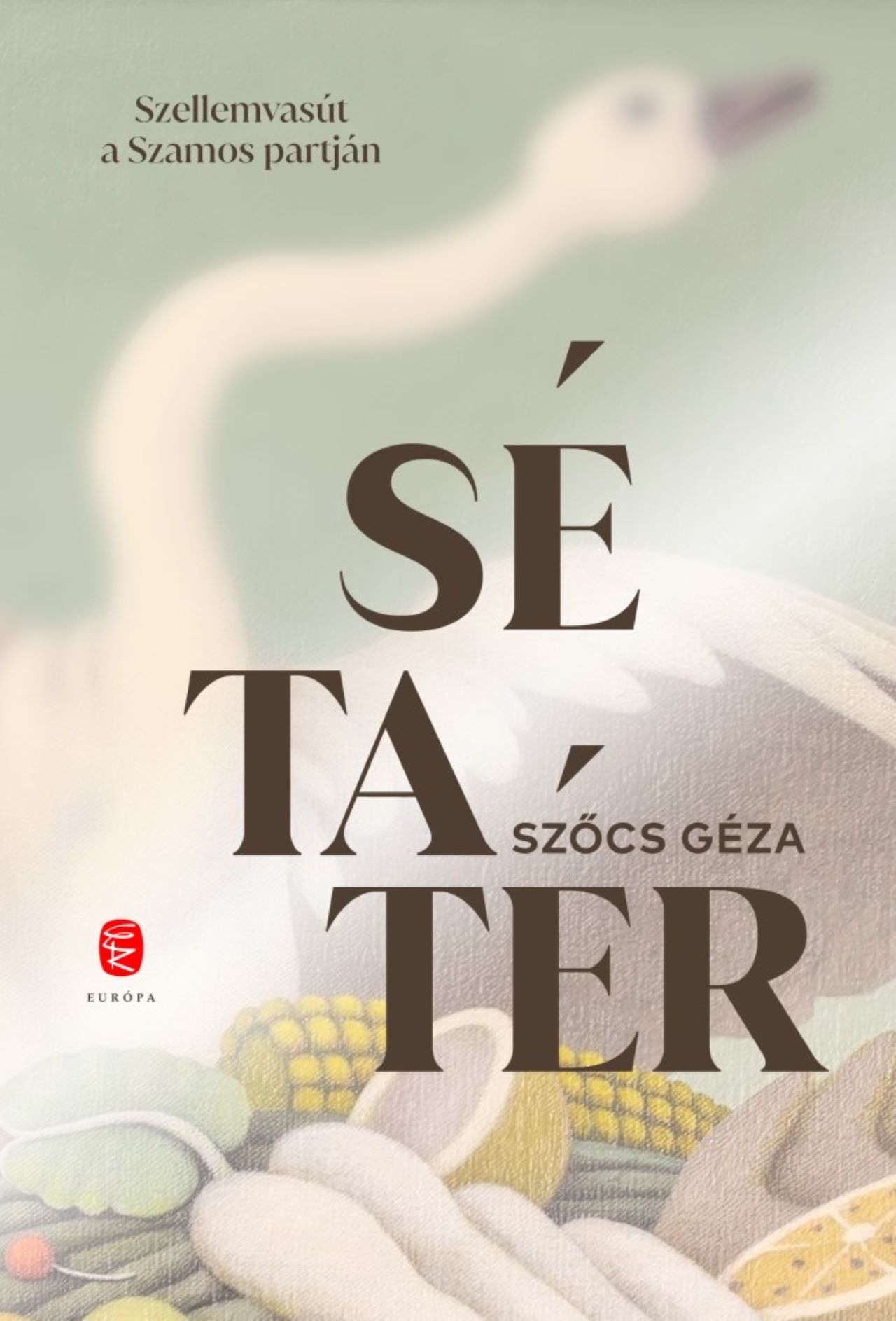 SÉTATÉR - SZELLEMVASÚT A SZAMOS PARTJÁN