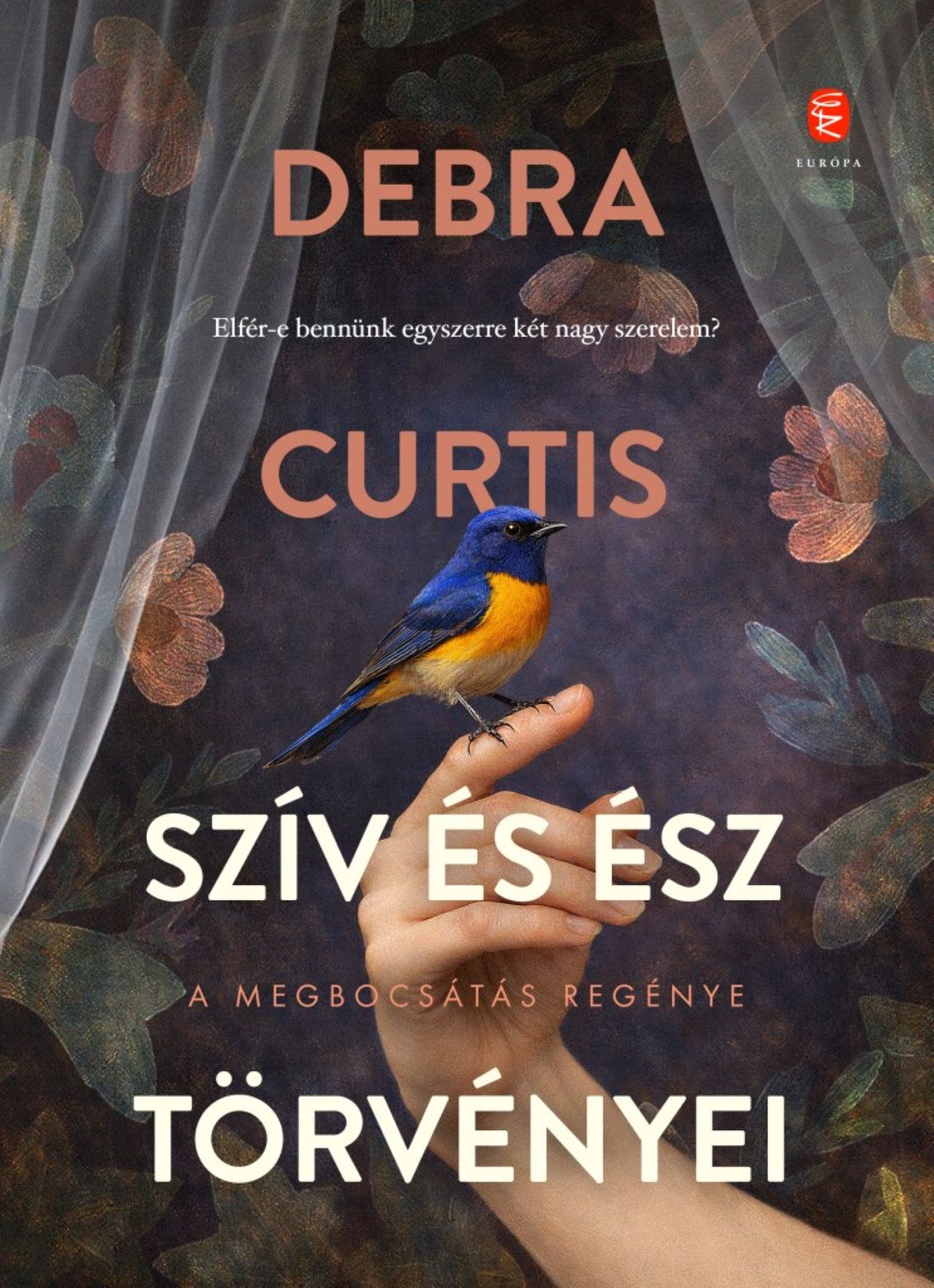 SZÍV ÉS ÉSZ TÖRVÉNYEI - A MEGBOCSÁTÁS REGÉNYE