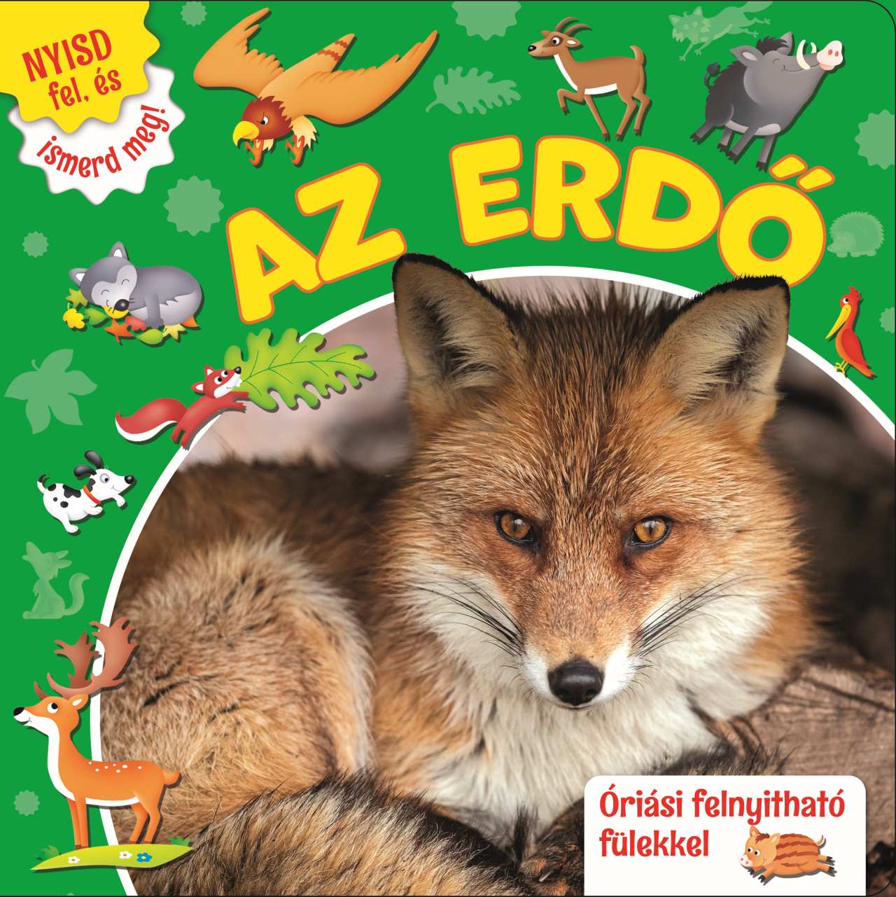 NYISD FEL, ÉS ISMERD MEG! - AZ ERDŐ