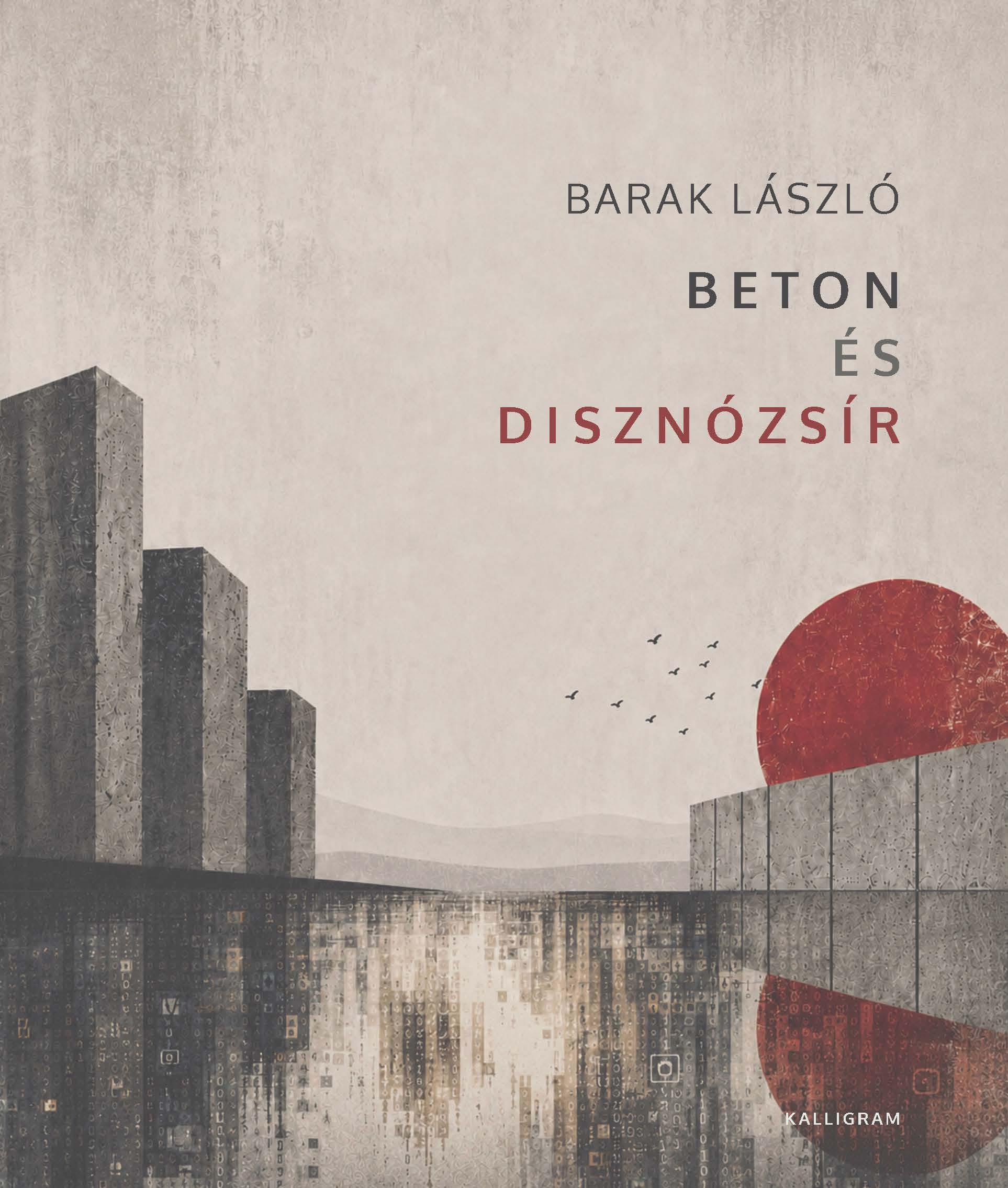 BETON ÉS DISZNÓZSÍR