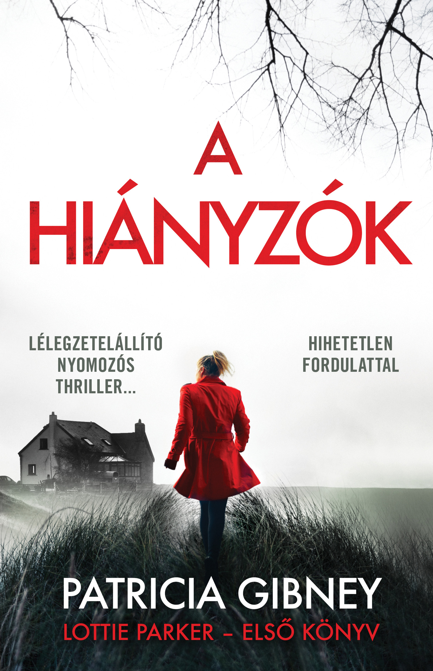 A HIÁNYZÓK - LOTTIE PARKER-ELSŐ KÖNYV