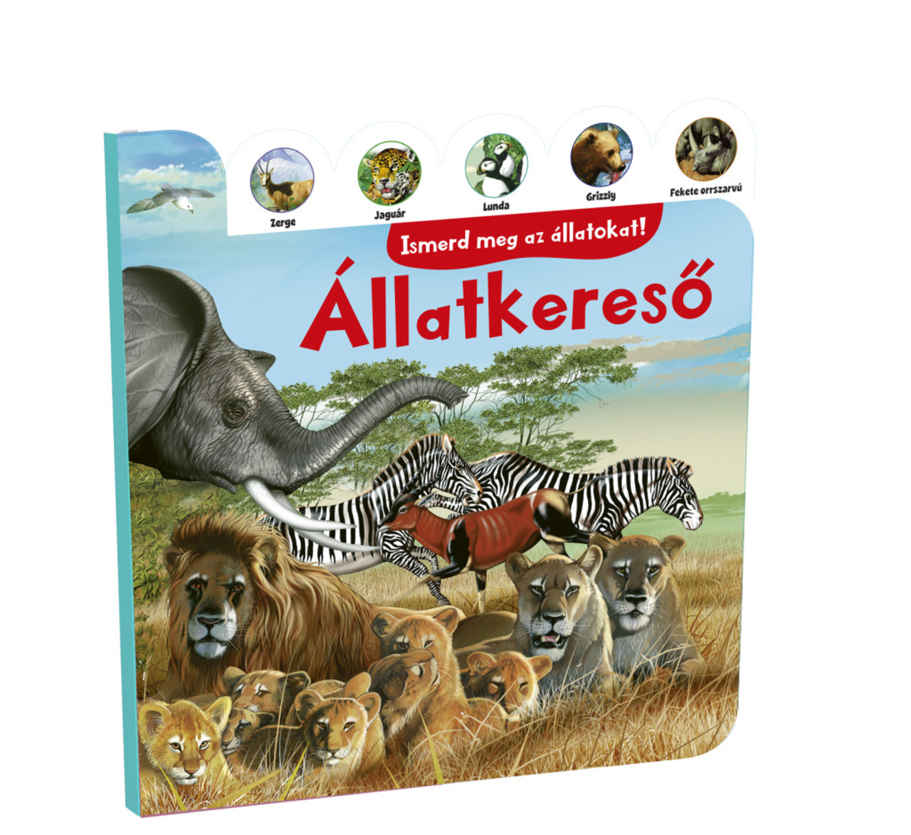 ÁLLATKERESŐ - ISMERD MEG AZ ÁLLATOKAT!