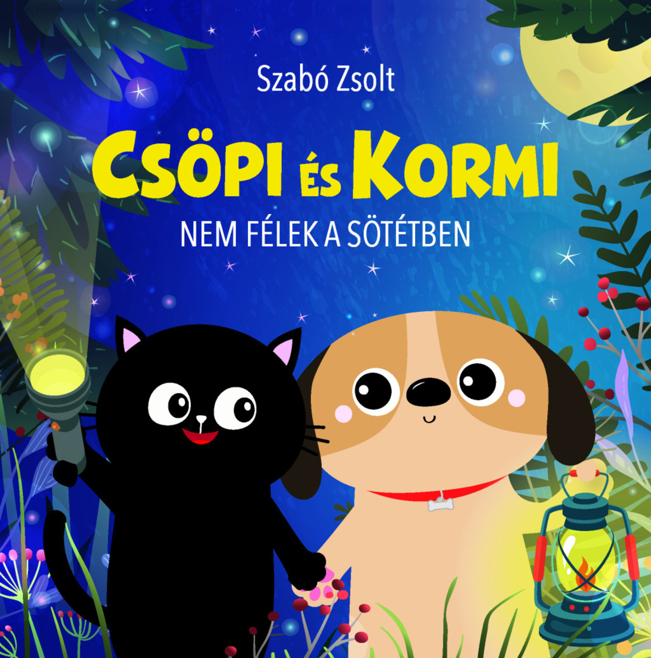 CSÖPI ÉS KORMI - NEM FÉLEK A SÖTÉTBEN