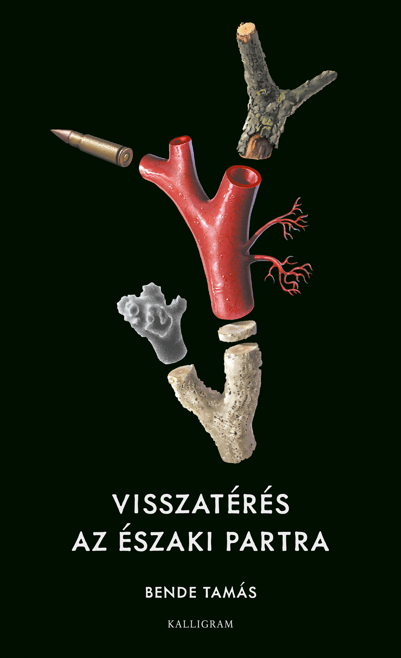 VISSZATÉRÉS AZ ÉSZAKI PARTRA